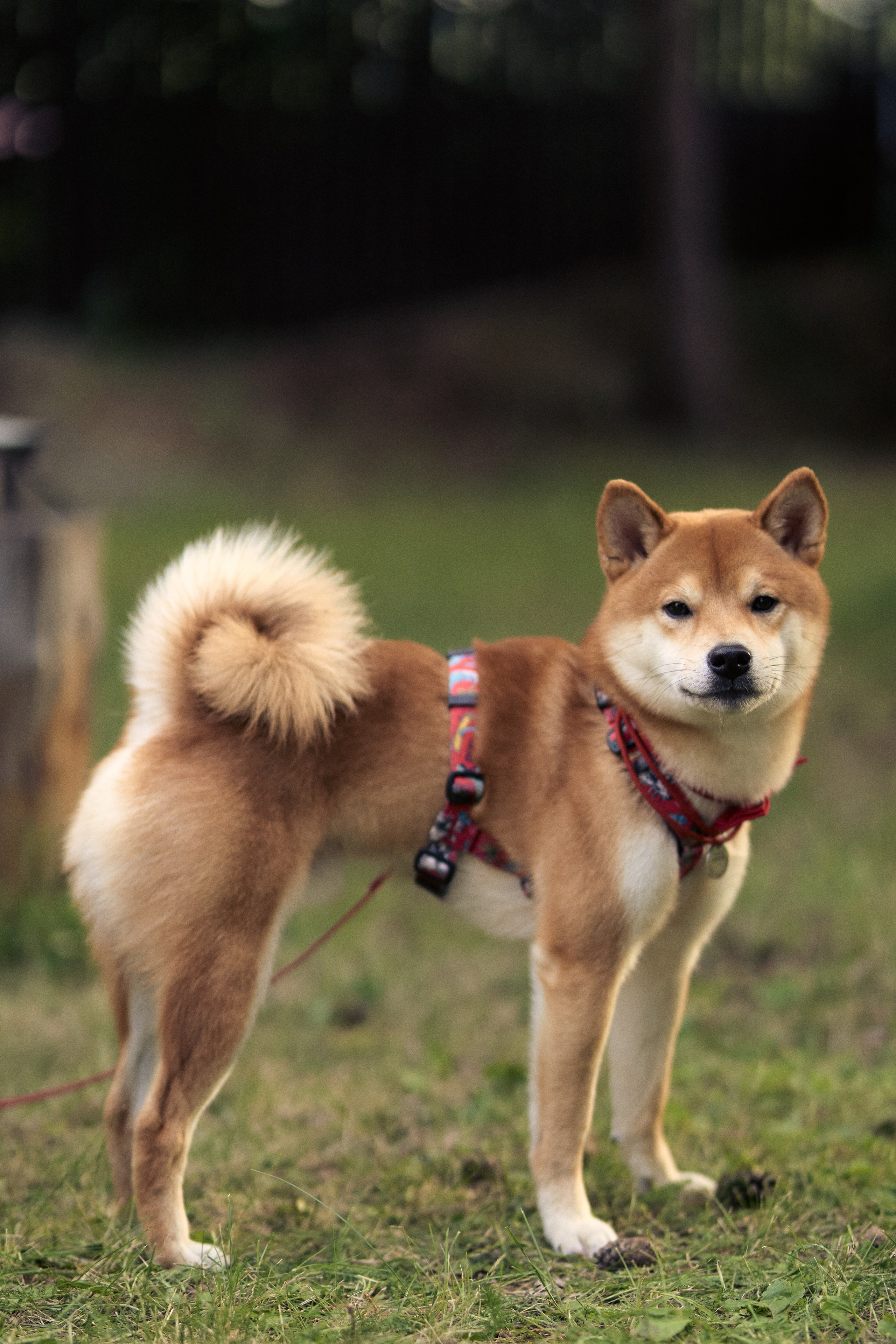 Е^2. Фотограф Москва и Екатеринбург. Максимова Соня