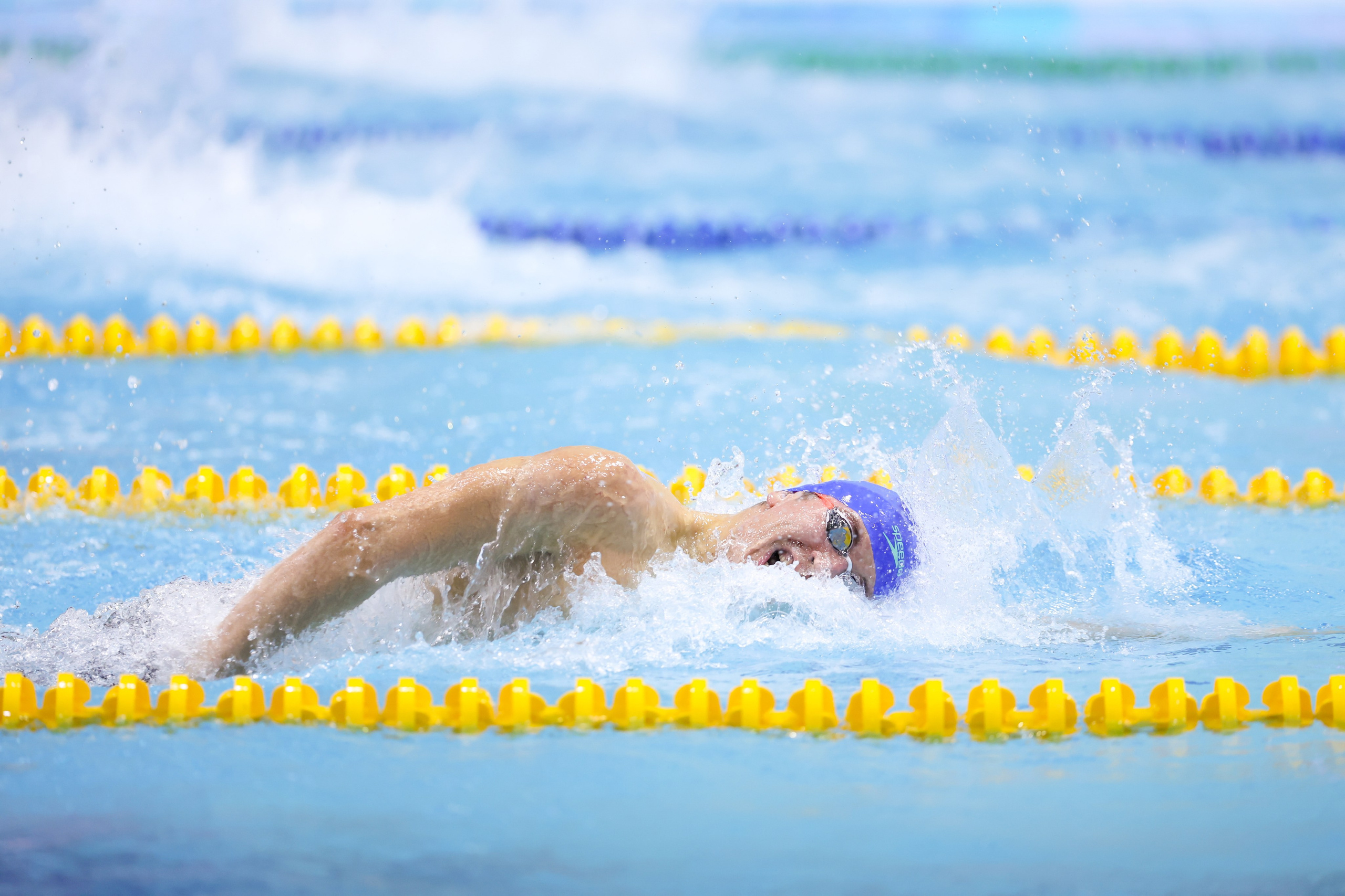 Чемпионат России по плаванию 25 м 21-26.11.2024. Спортивный и репортажный фотограф Антон Тереханов