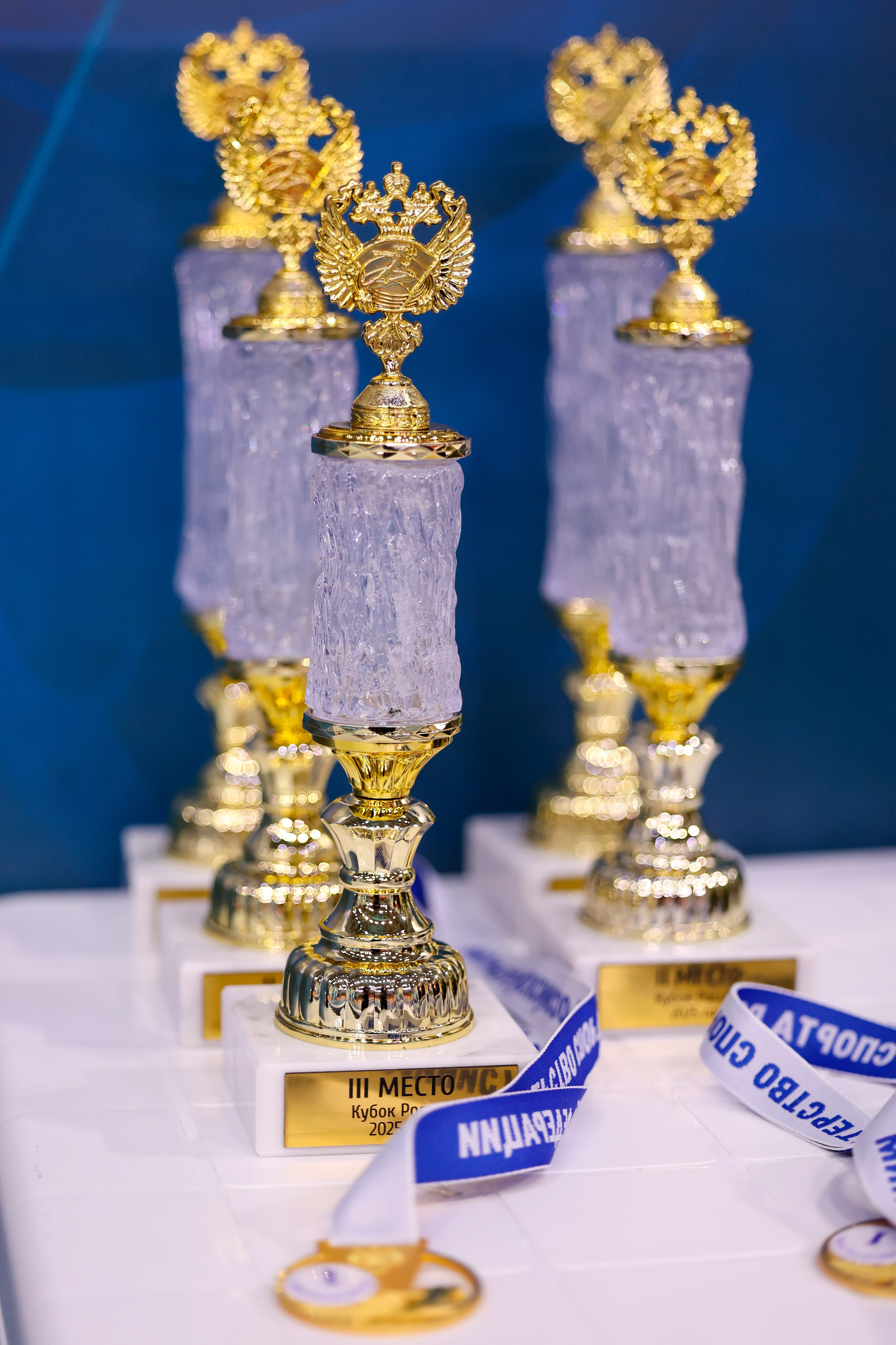 Кубок России по прыжкам в воду 04-08.02.2025. Спортивный и репортажный фотограф Антон Тереханов