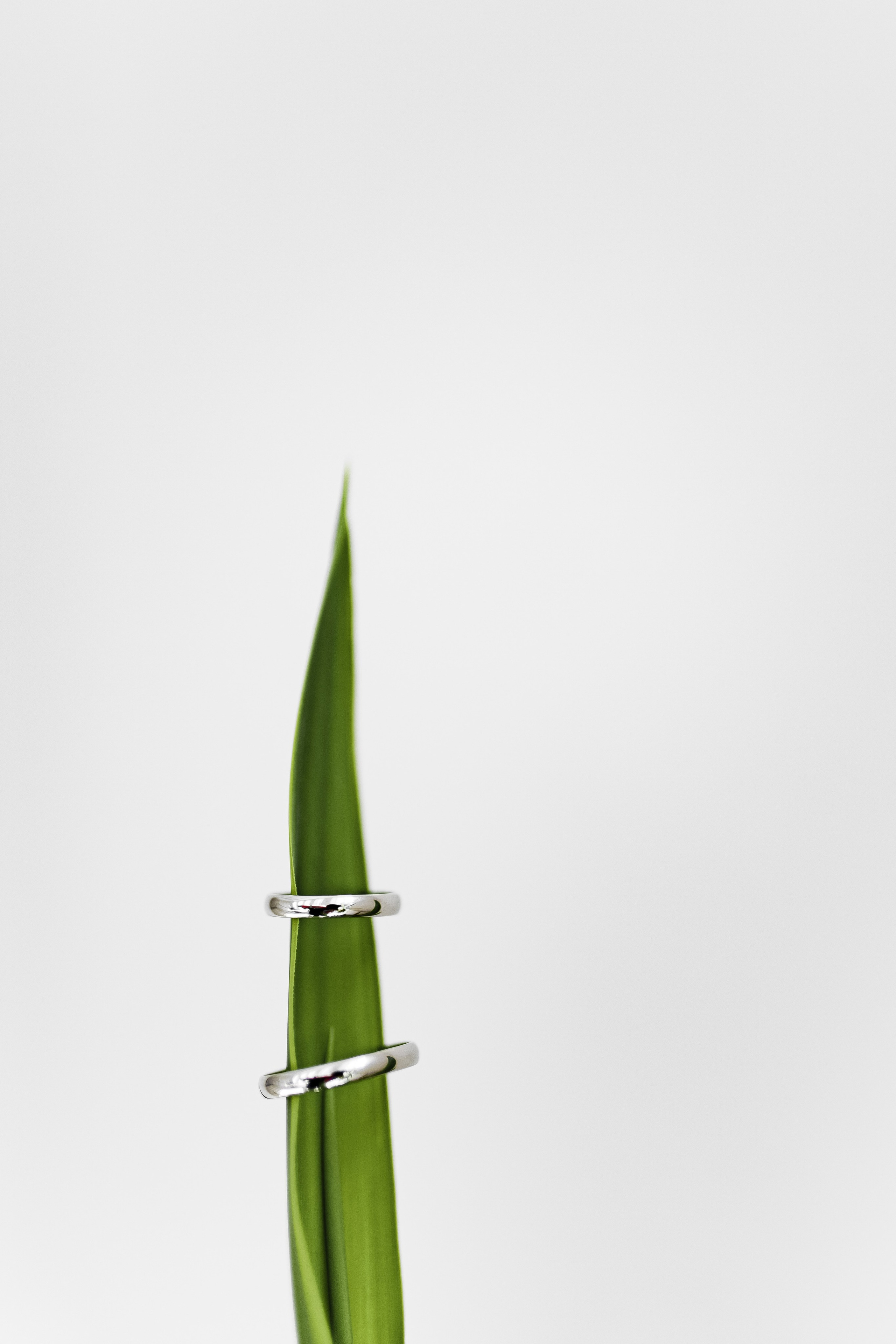 Фотограф Светлана Голицына