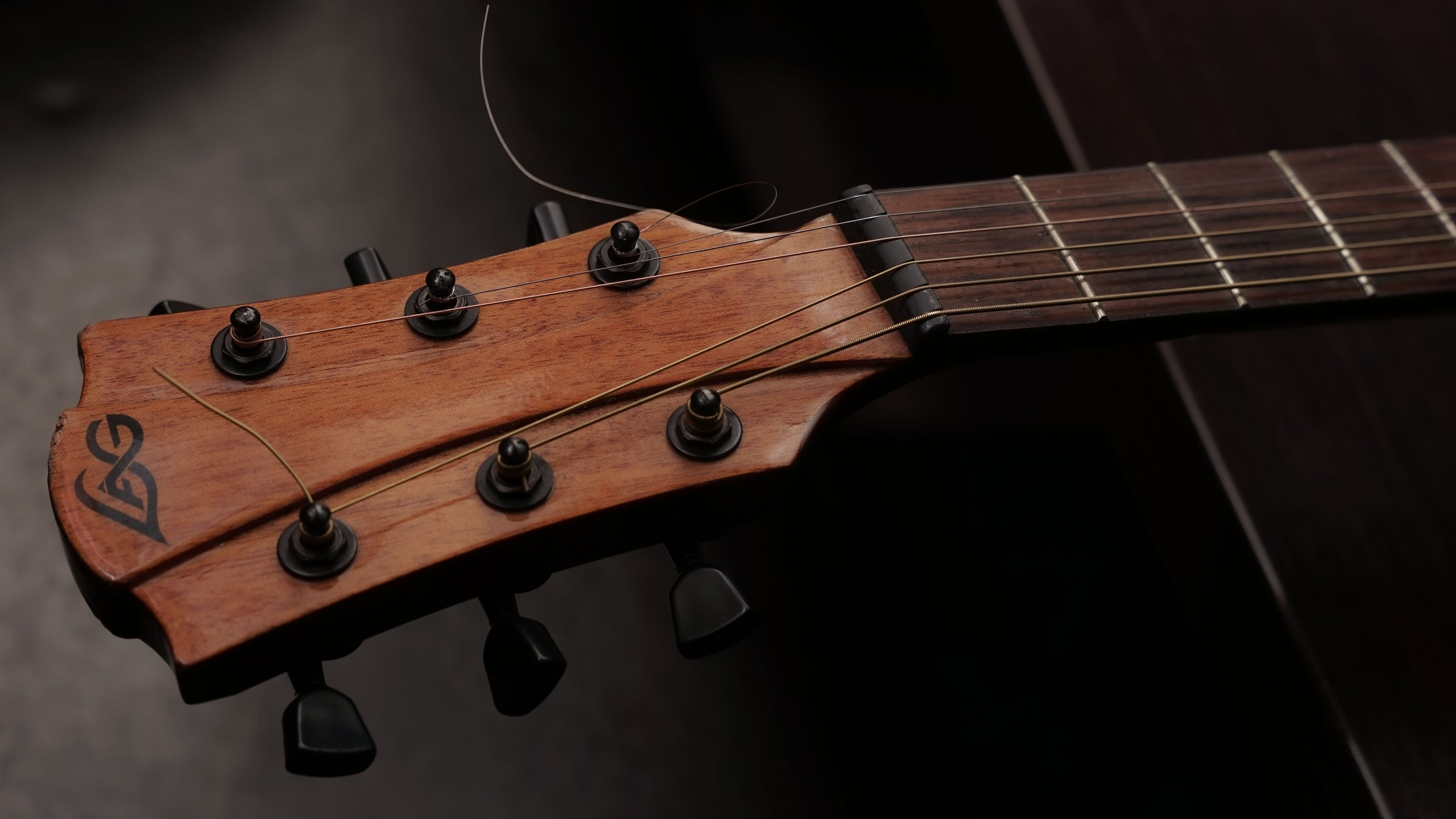 Музыкальная вечеринка | 10.12.22. Галерея Фантим