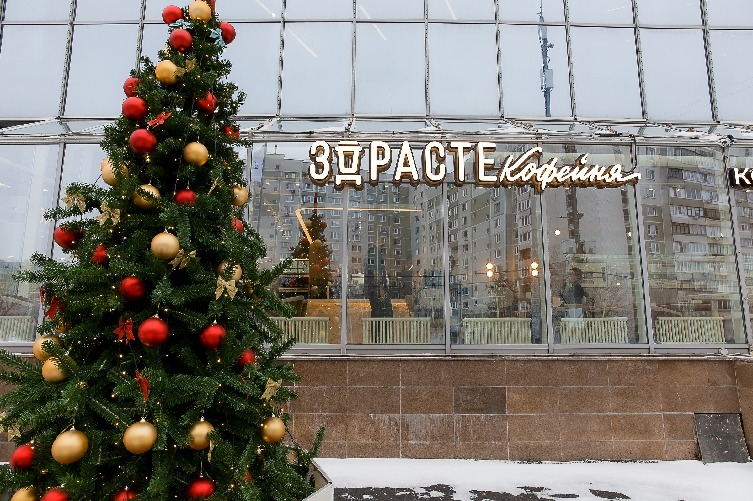 ЗДРАСТЕ БУЛЬВАР ДМИТРИЯ ДОНСКОГО. Фотограф в Москве Ольга Колесникова