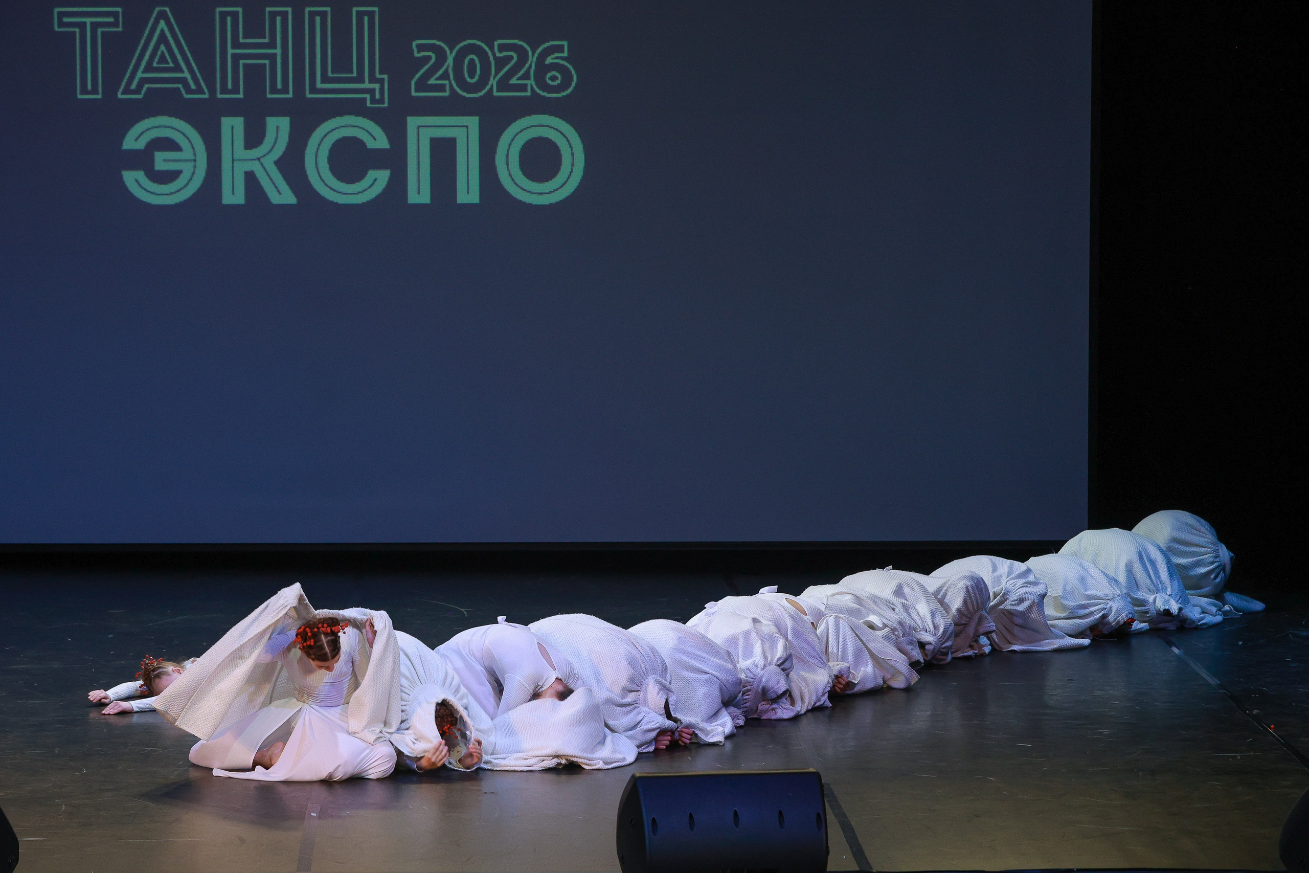 Небесные ласточки на Танц ЭКСПО 2026. Фотограф Юлия Мальцева