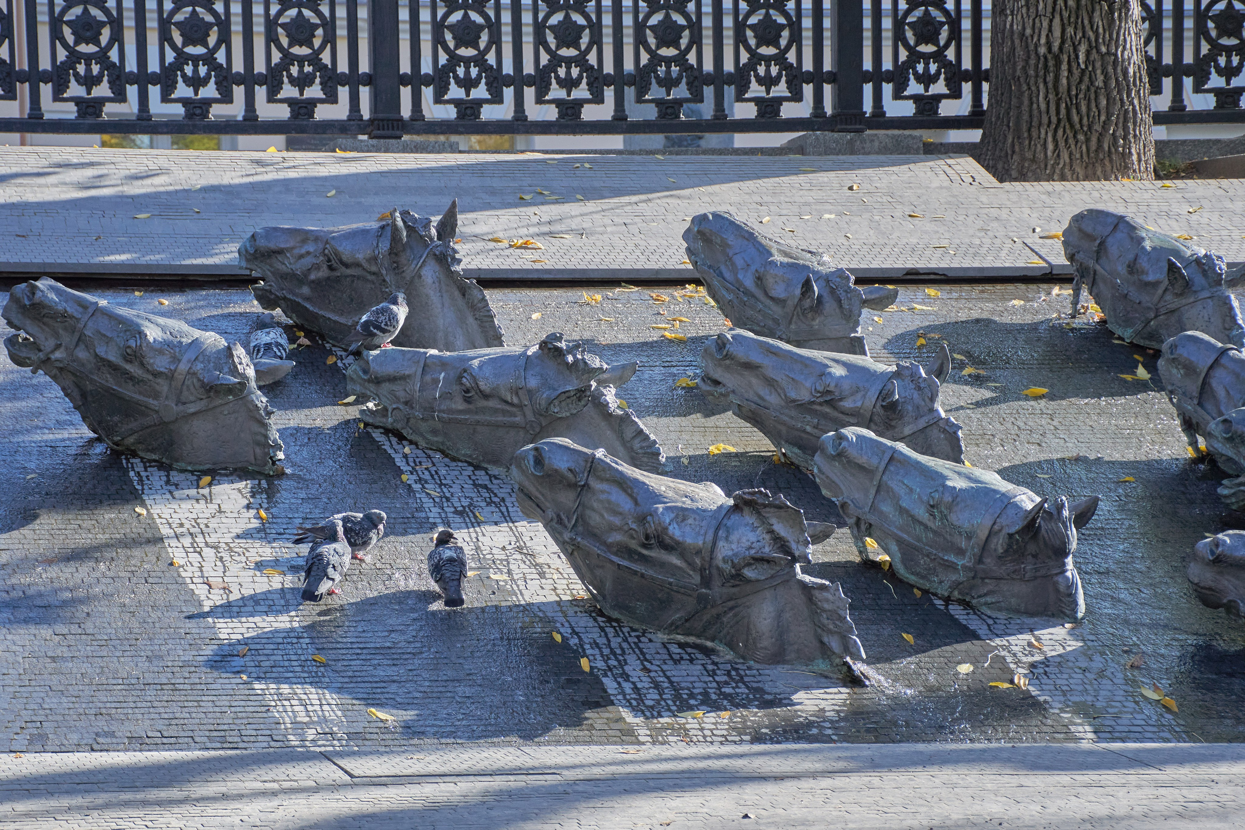 20201004 Бульварное кольцо. Дмитрий Ремизов. Фотография, как хобби