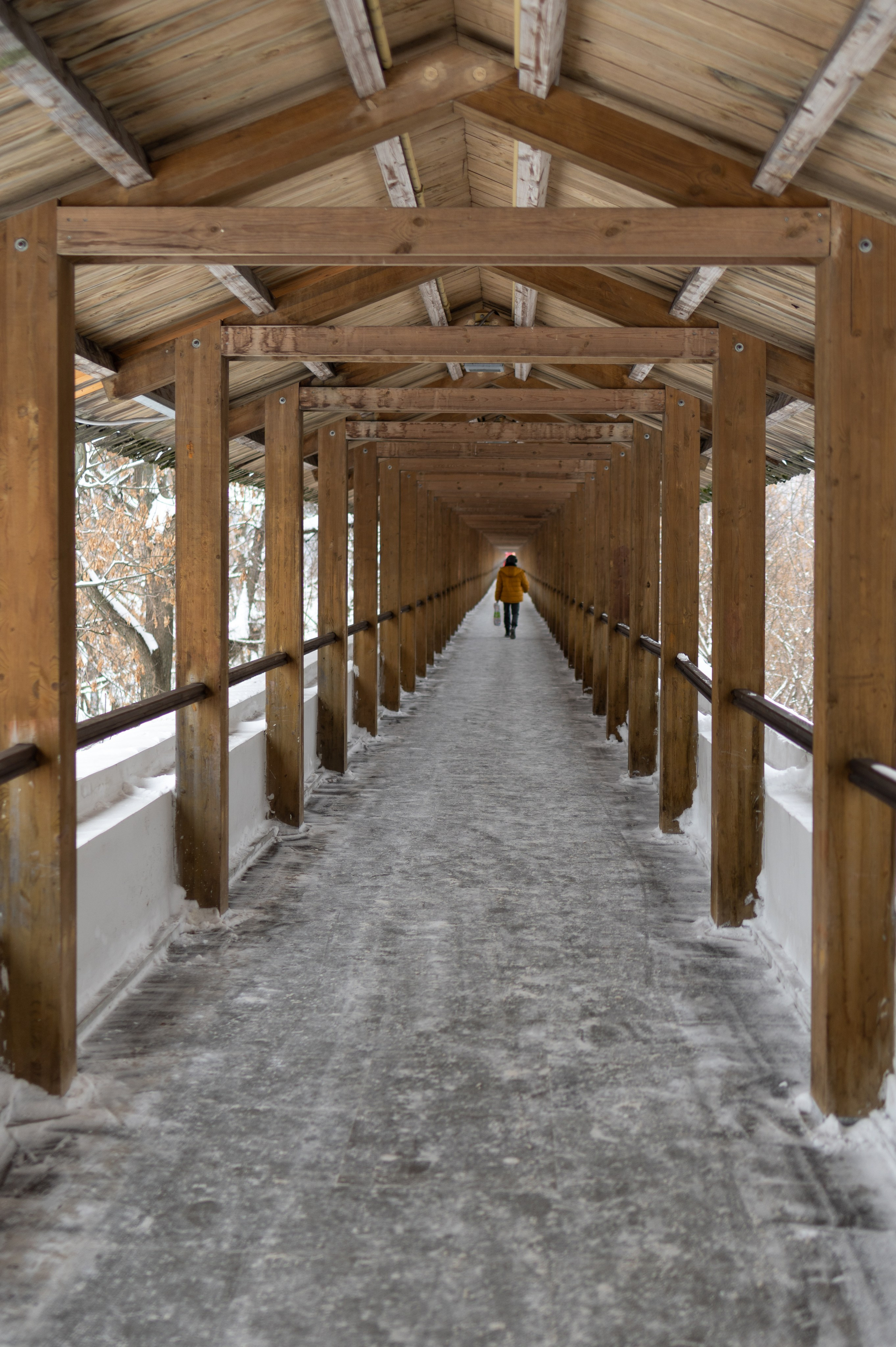 20240127 Ростокинский акведук. Дмитрий Ремизов. Фотография, как хобби