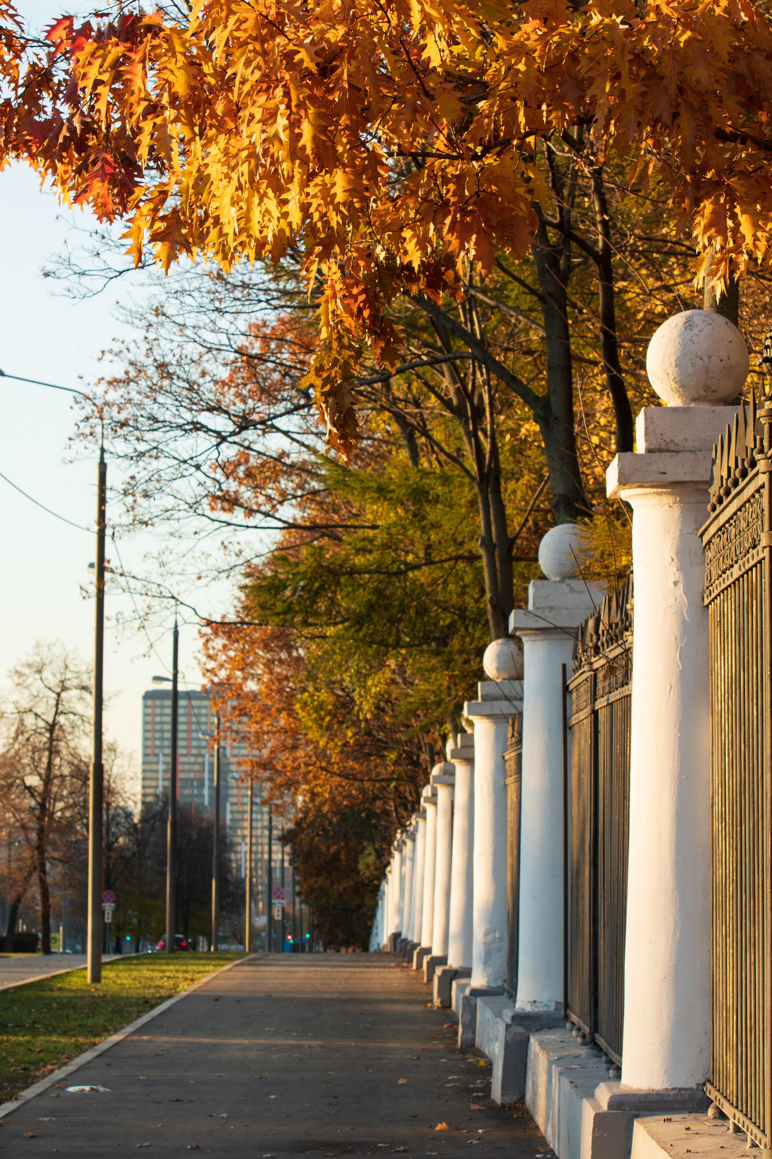 20211010 МГУ. Дмитрий Ремизов. Фотография, как хобби