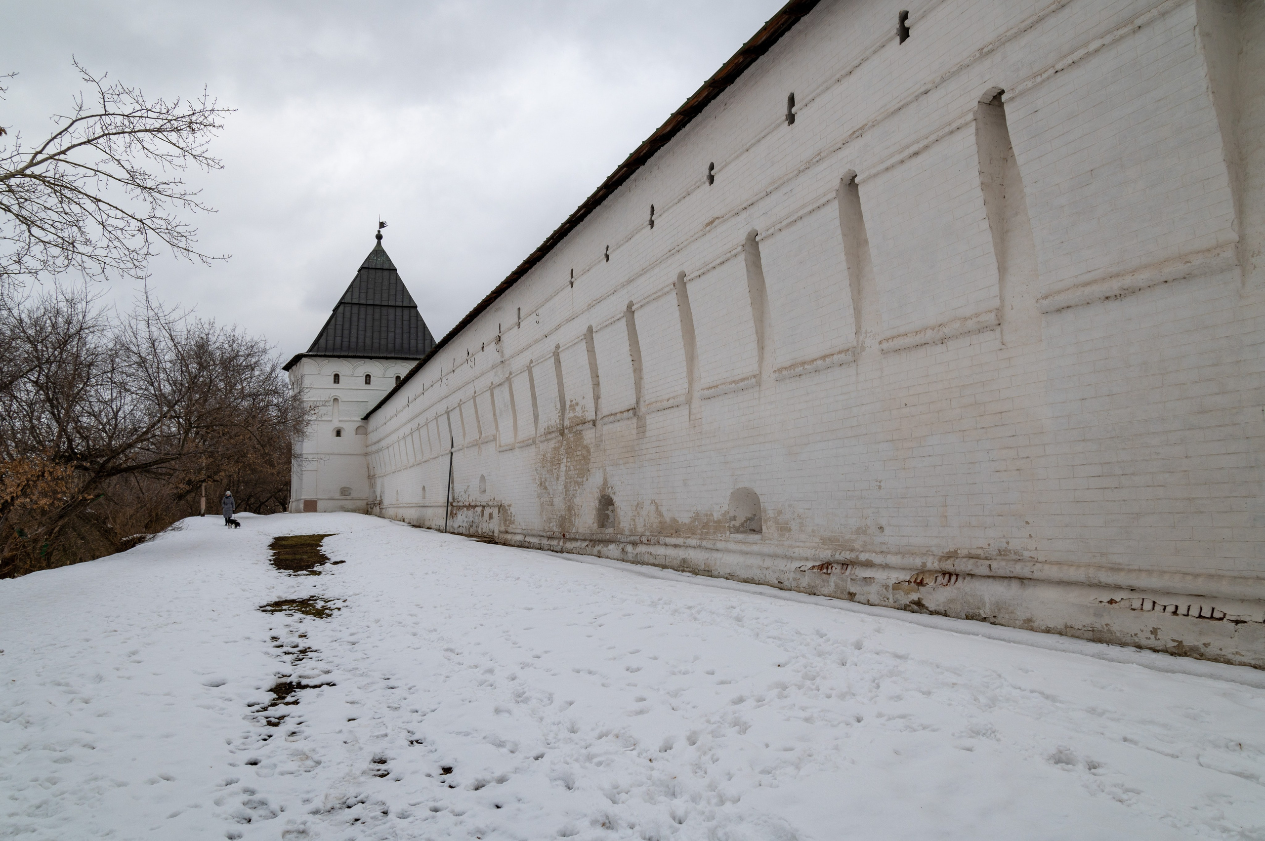 20230304 Новоспасский монастырь. Дмитрий Ремизов. Фотография, как хобби