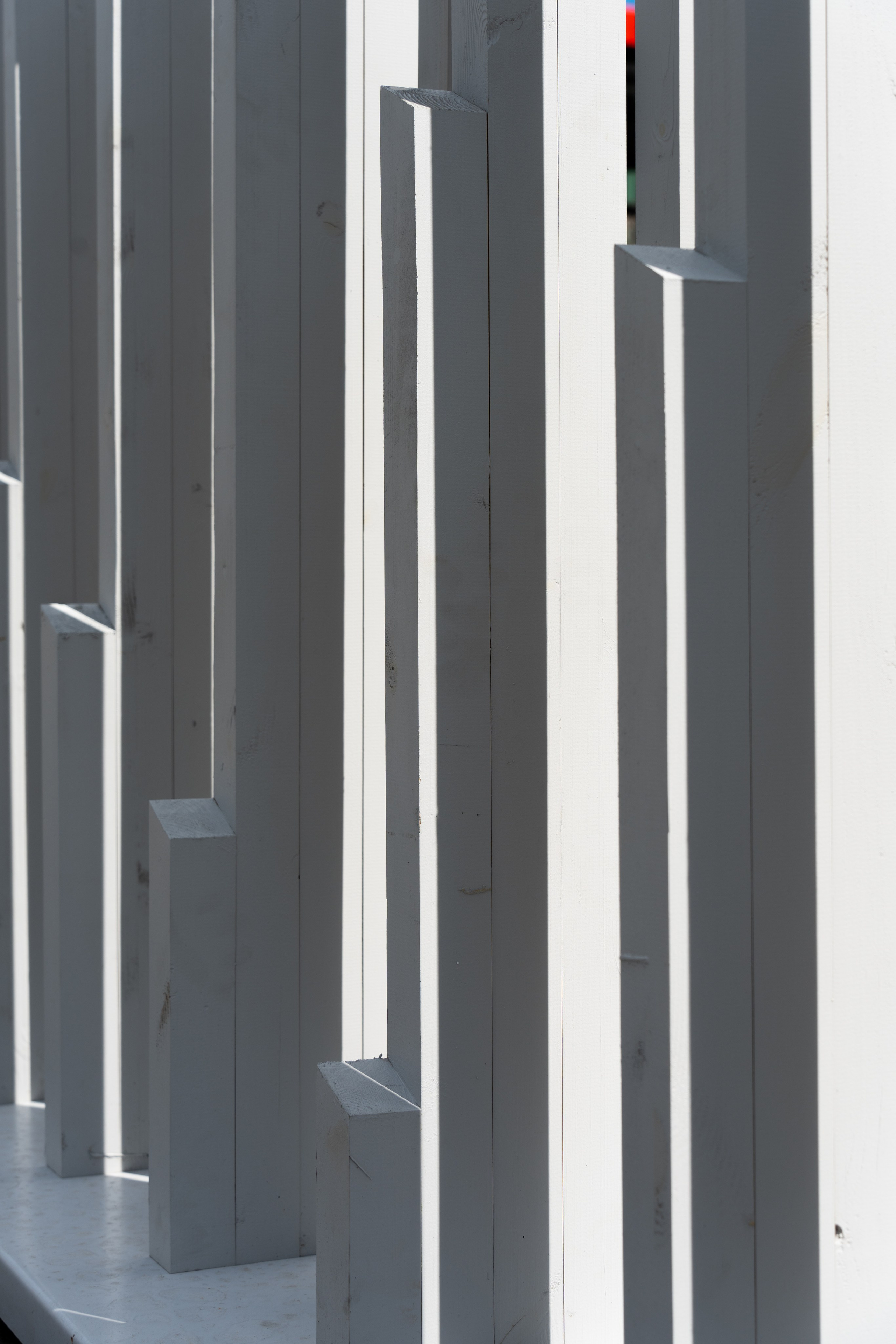 20250808 Прогулка с сыном. Дмитрий Ремизов. Фотография, как хобби