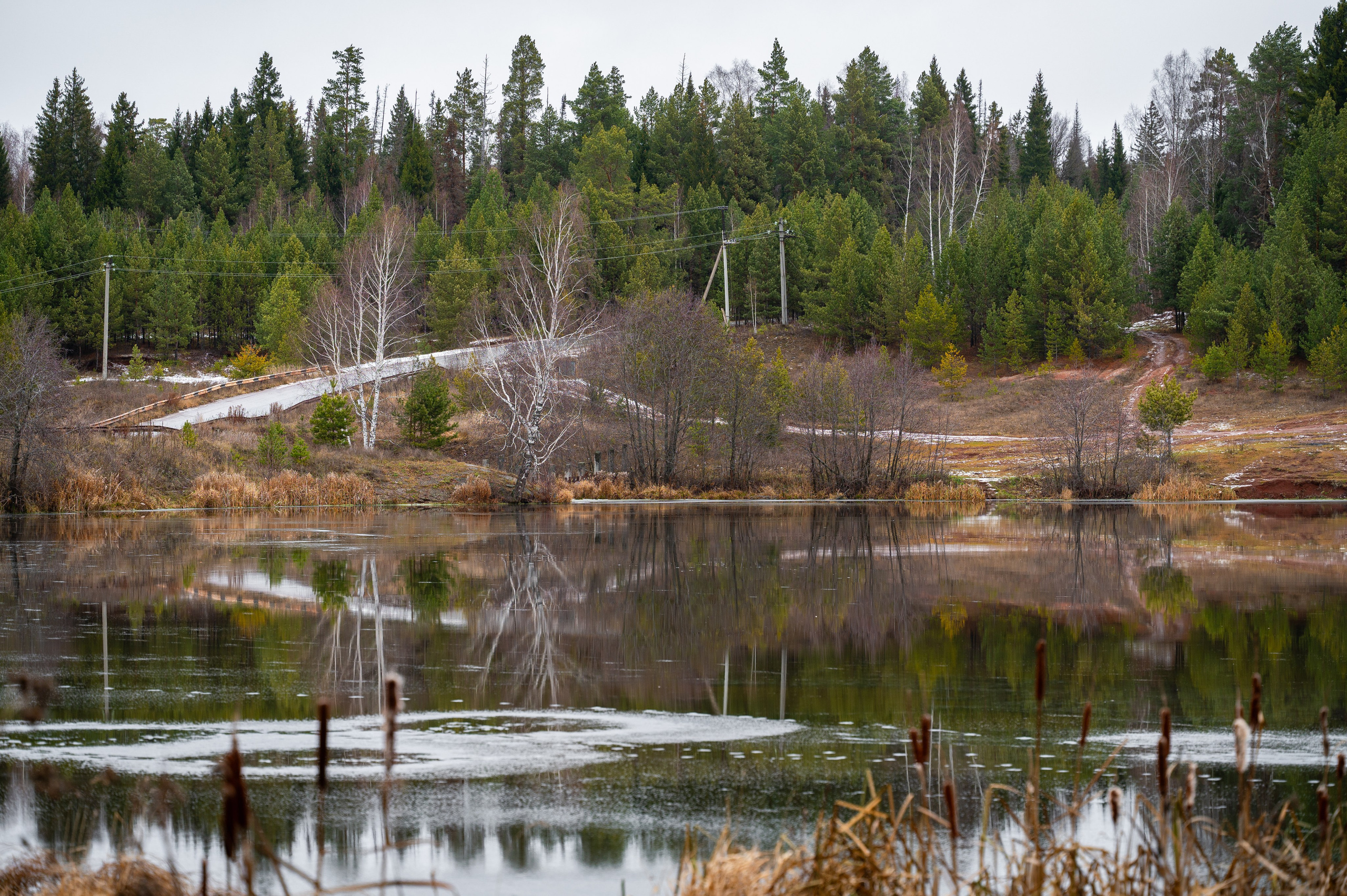 Природа. Максим Егоров, г. Ижевск. Репортажная, предметная съёмка и фуд-фотография