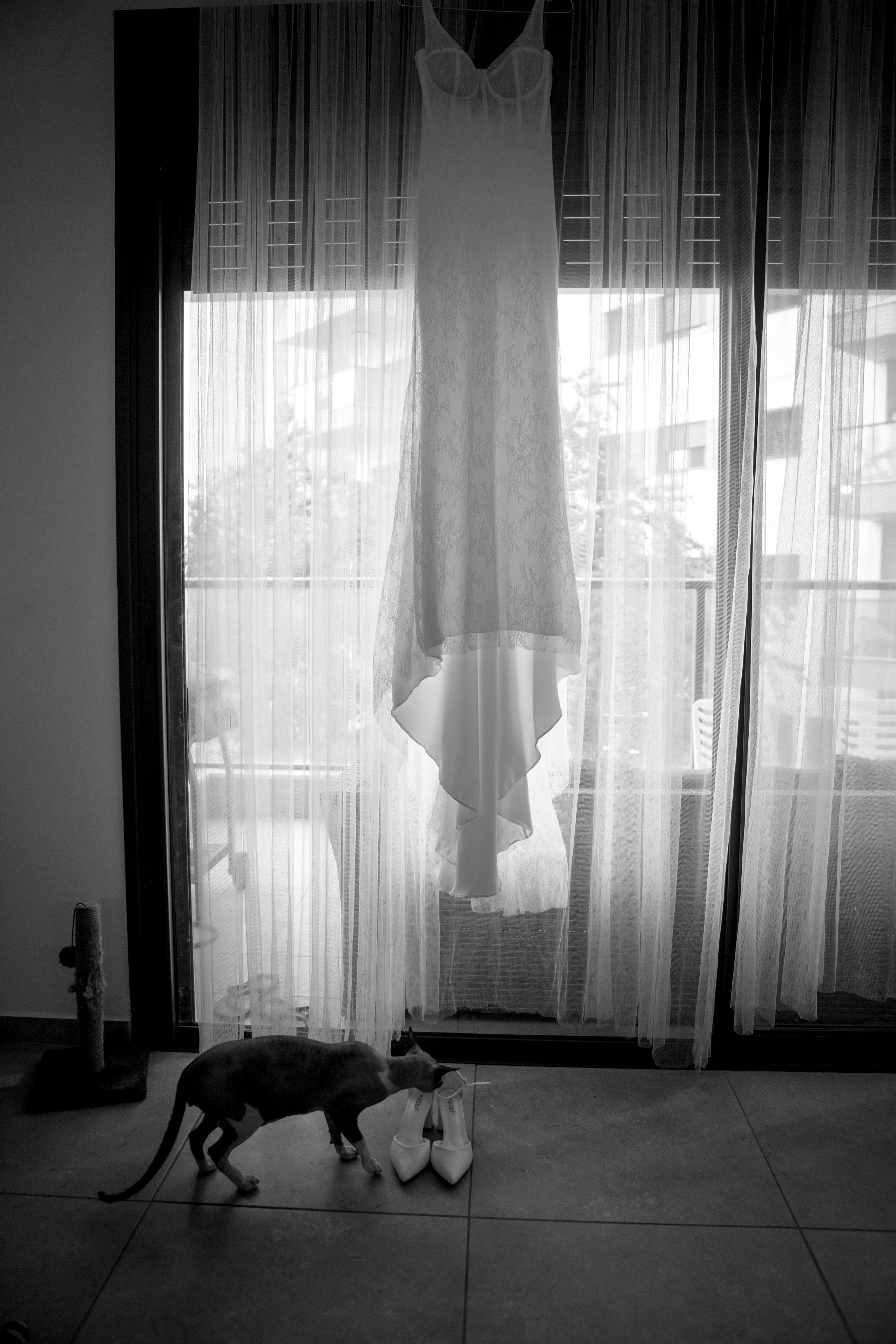 Vladislav & Ellina | Israel. Wedding and family photographer