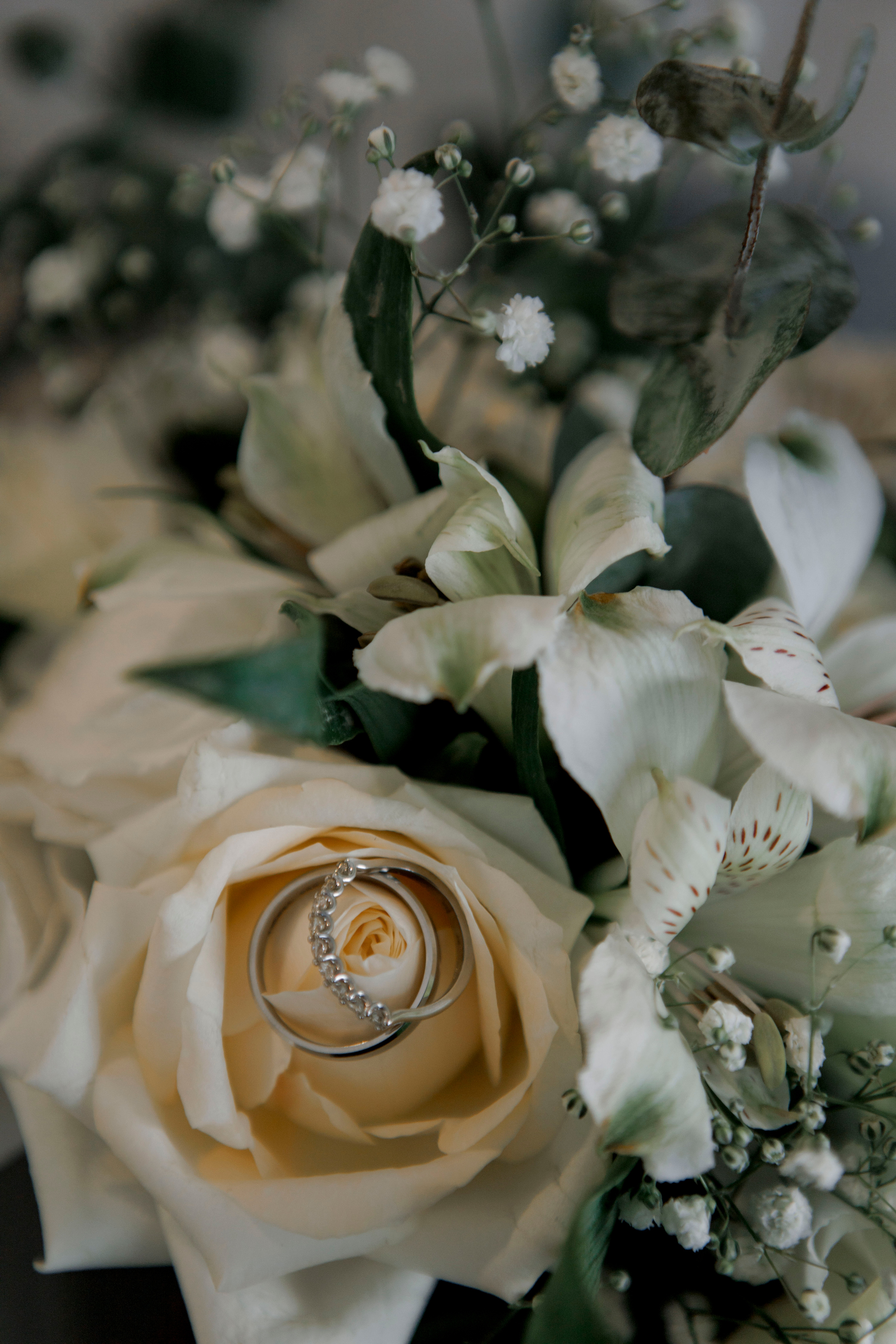 Vladislav & Ellina | Israel. Wedding and family photographer