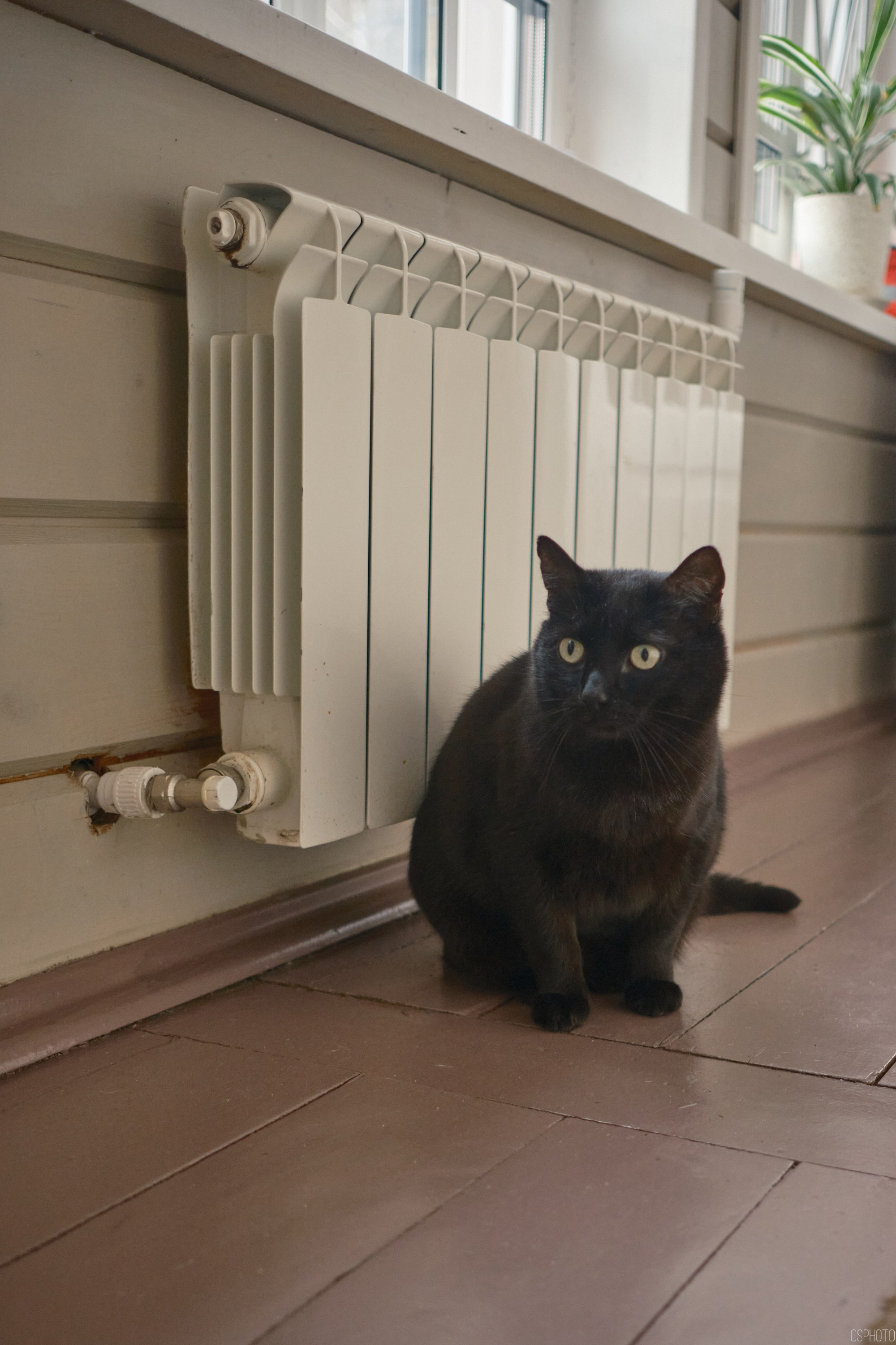 Плёс. Волга. Март. Фотографъ Сергѣевъ. Поймать мгновеніе