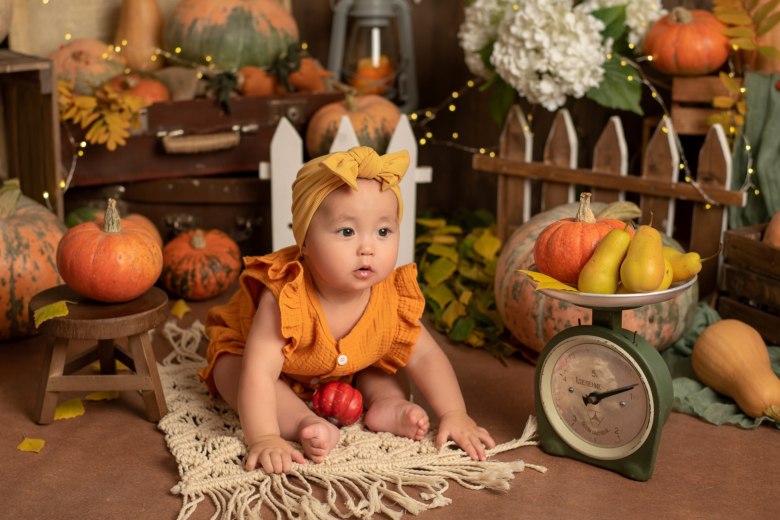 Евочка- ФП «Оранжевые Тыковки». Семейный и детский фотограф Наталья Горда