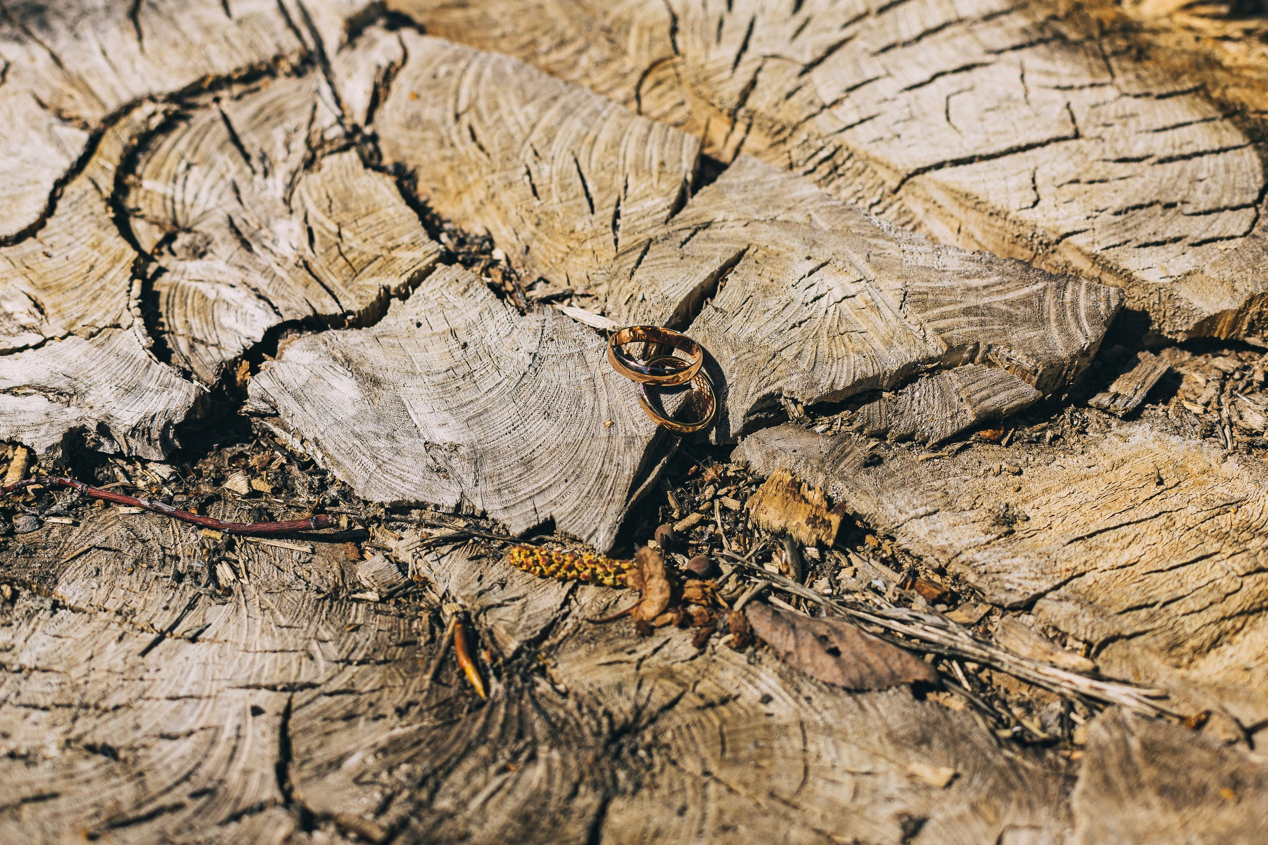 Кирилл и Валерия. Свадебный фотограф Стерлитамак, Уфа, Салават, Ишимбай
