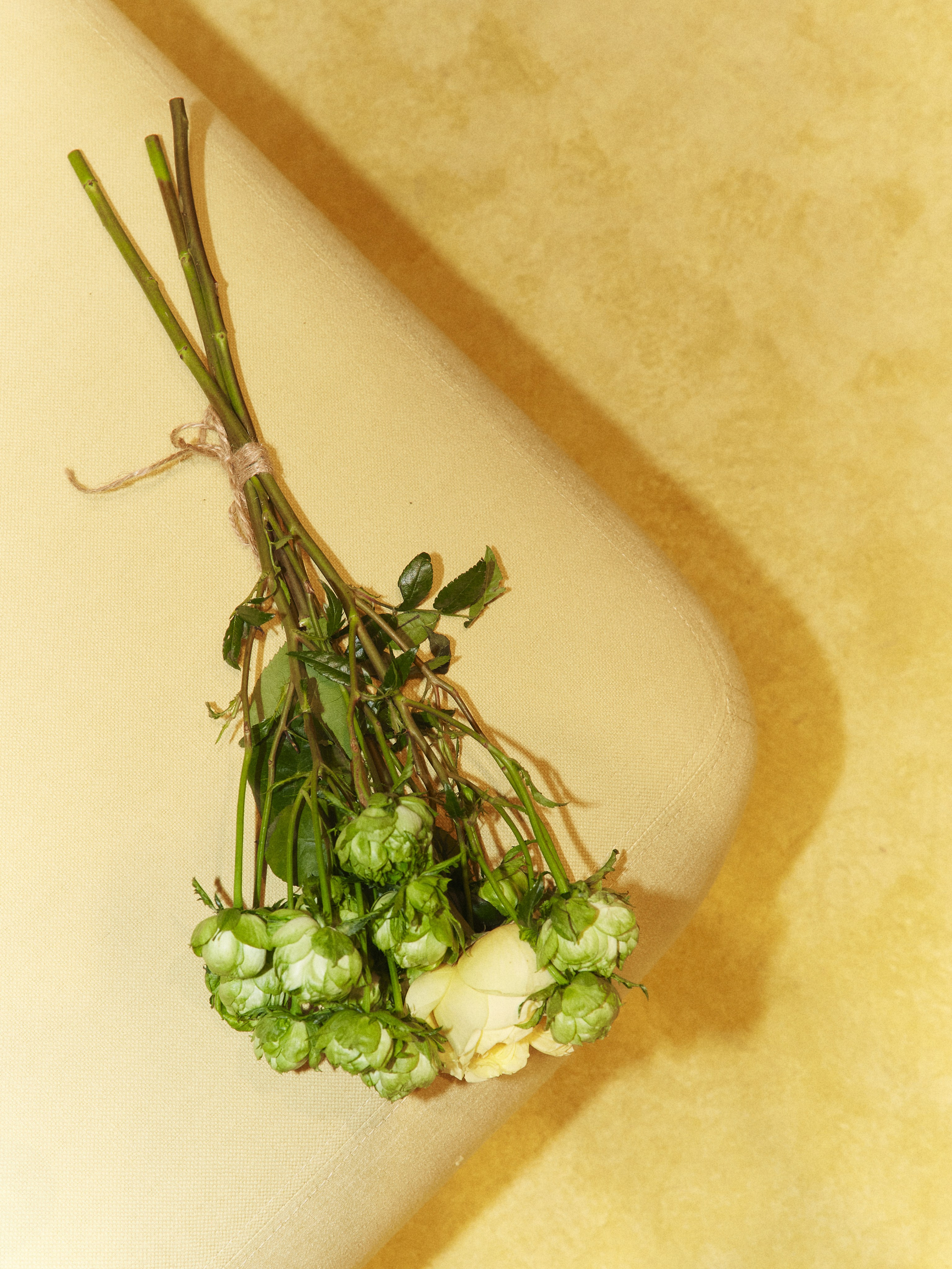 CHAIKA store opening in Tsvetnoy. Photographer Daria Ilkevich