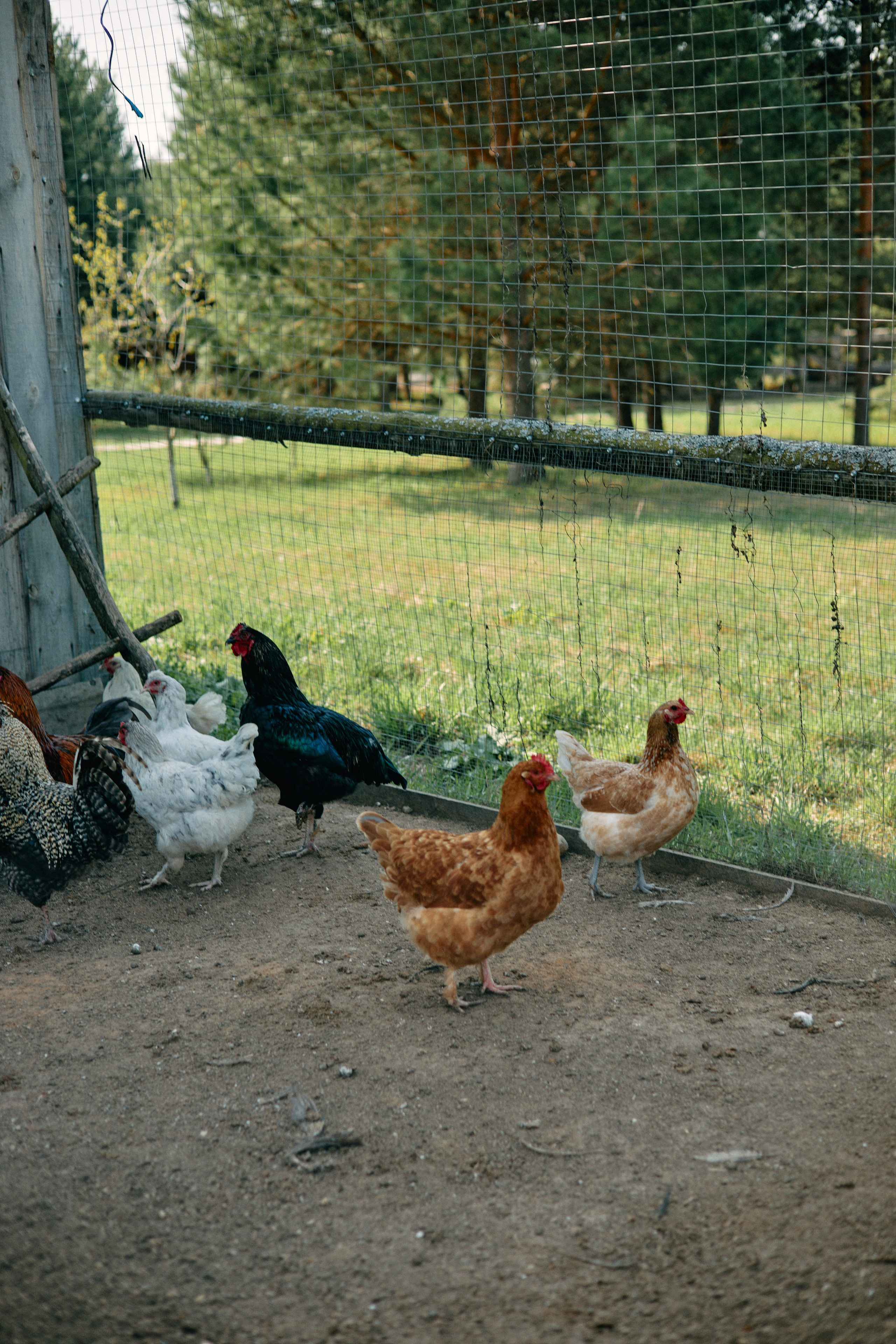 Бутик-отель Поле летом. Профессиональный Фотограф во Владимире, в Москве и в Суздале — Полина Романычева