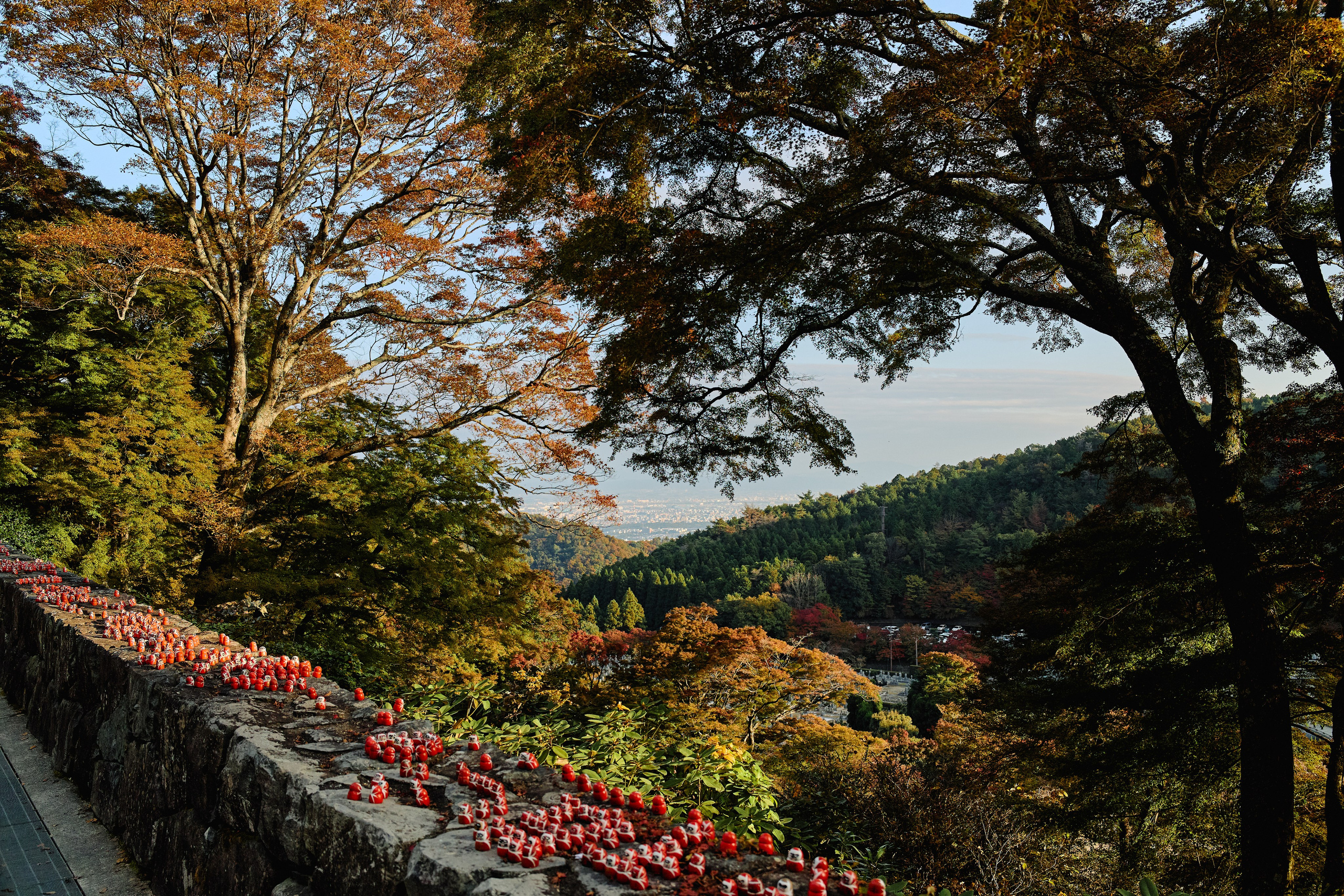 Япония. Профессиональный Фотограф во Владимире, в Москве и в Суздале — Полина Романычева