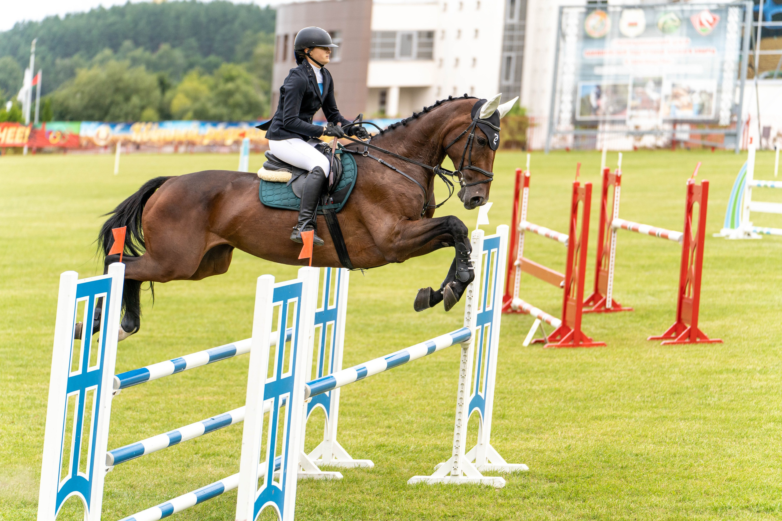Соревнования. Фотограф Дарья Соколовская