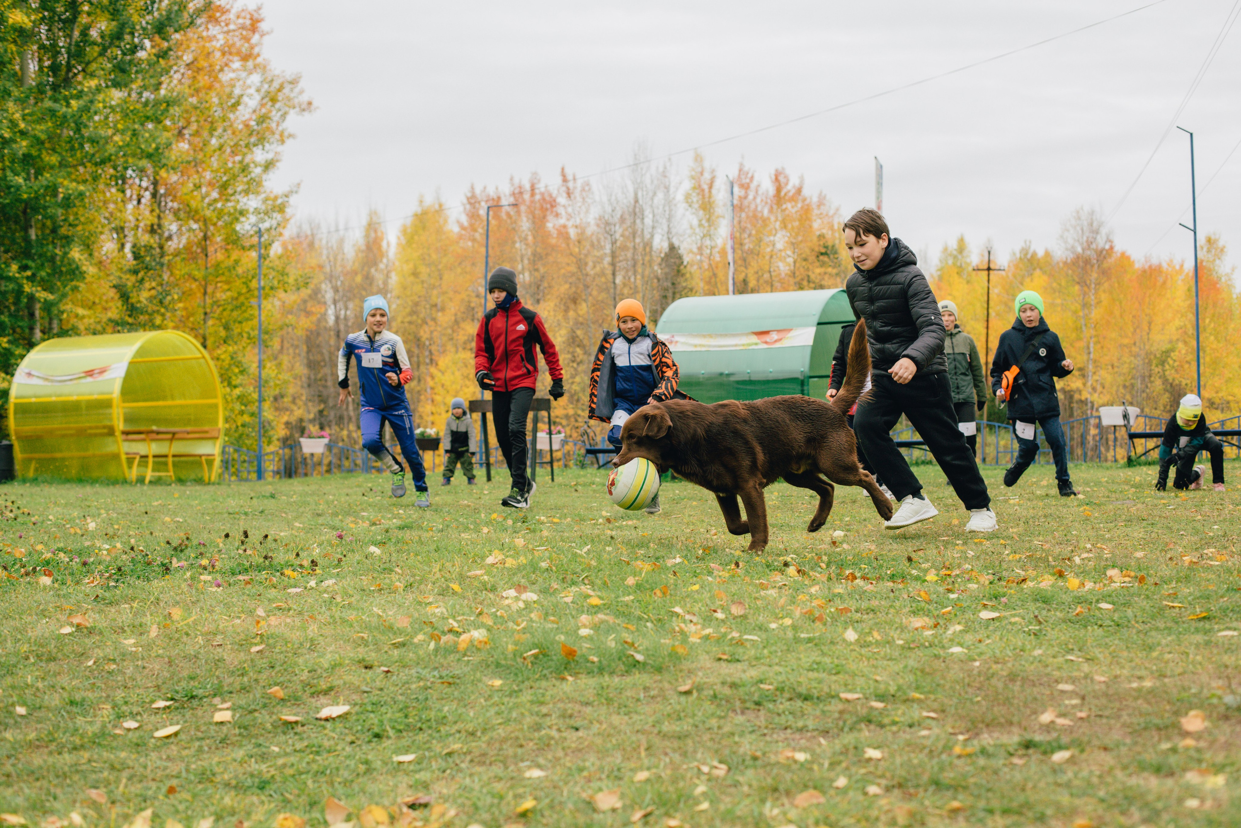 Спортивное ориентирование. Репортажный, семейный фотограф из Нефтеюганска