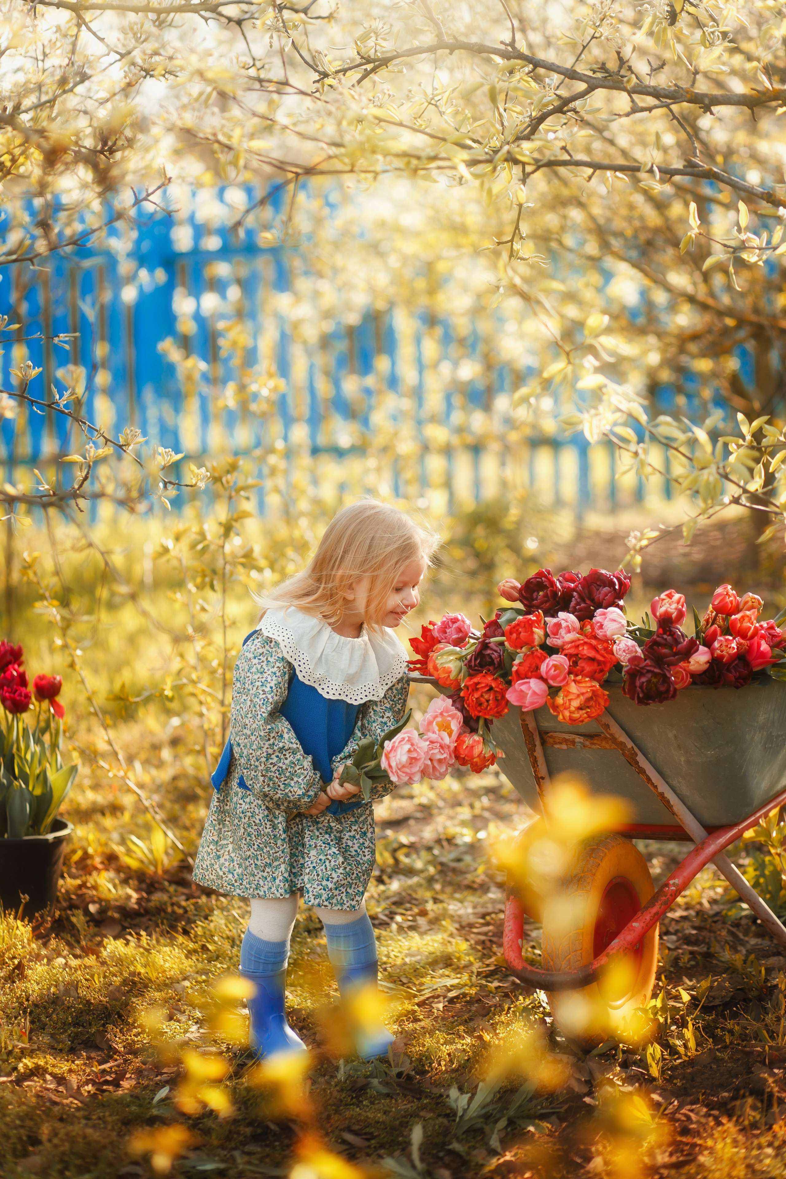 Ляля и тюльпаны. Свадебный и семейный фотограф  Новочеркасск Виктория Литвиненко