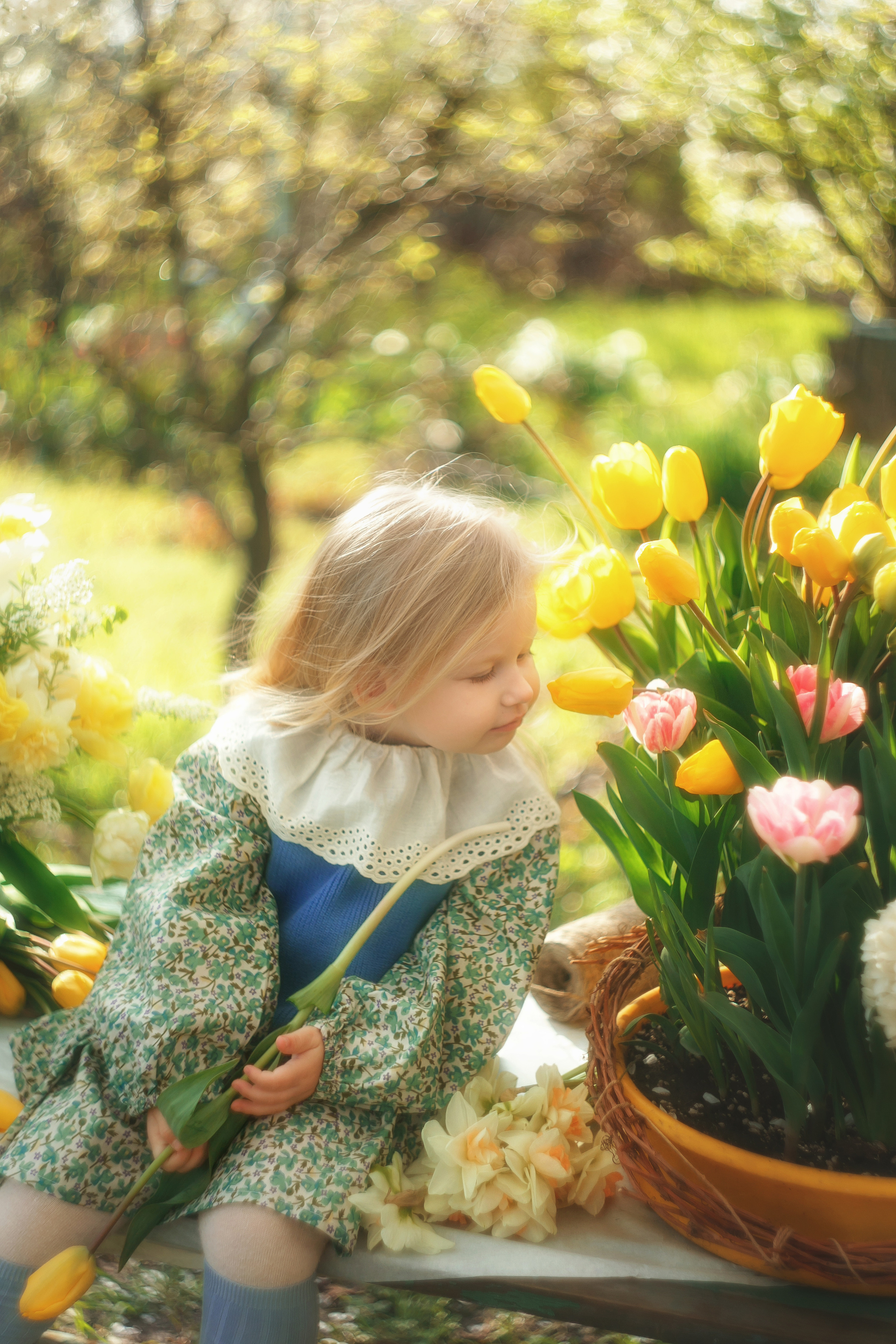 Ляля и тюльпаны. Свадебный и семейный фотограф  Новочеркасск Виктория Литвиненко