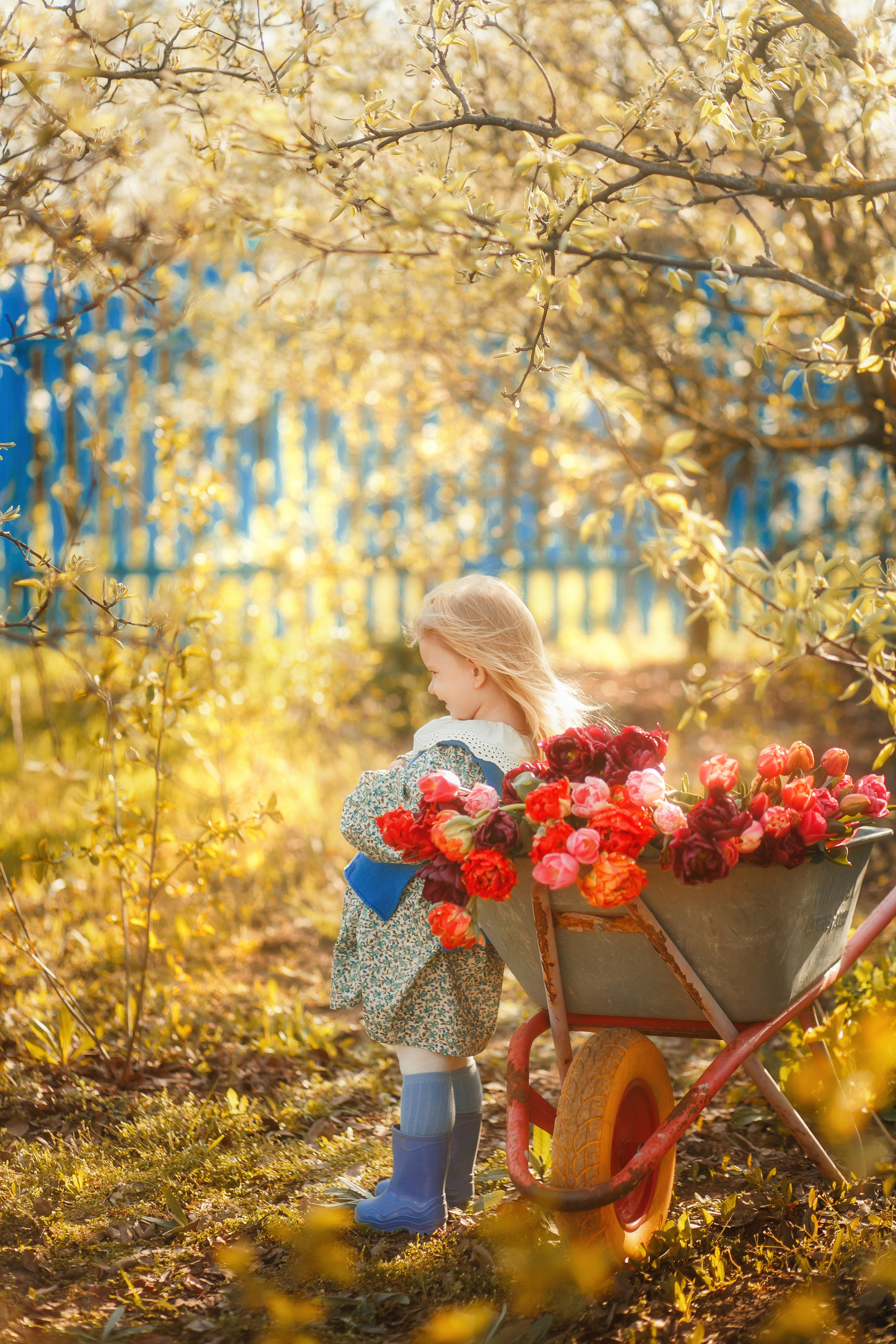 Ляля и тюльпаны. Свадебный и семейный фотограф  Новочеркасск Виктория Литвиненко