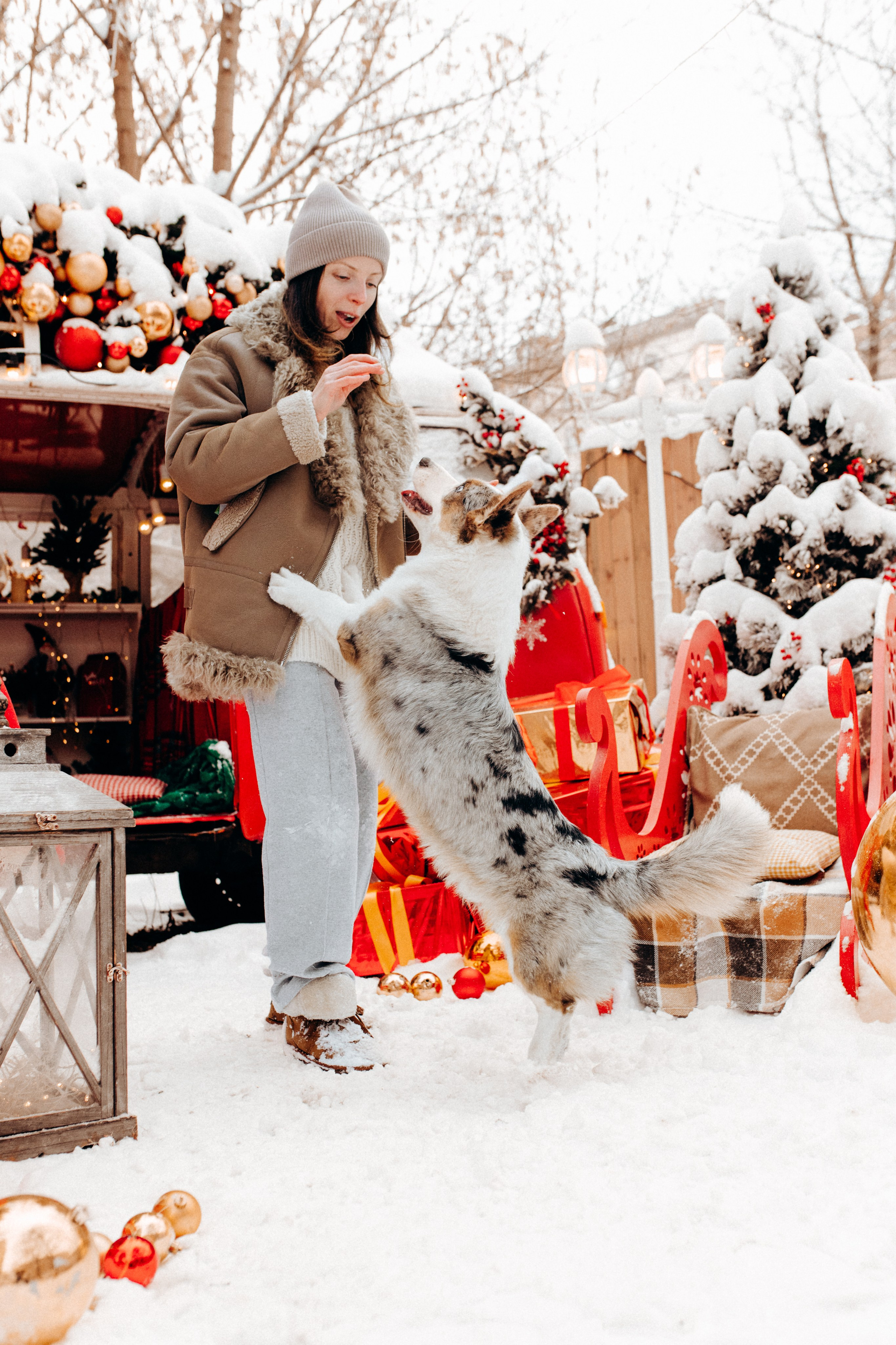 Маша и Дэф. Фотограф анималист в Москве Ольга Агушева