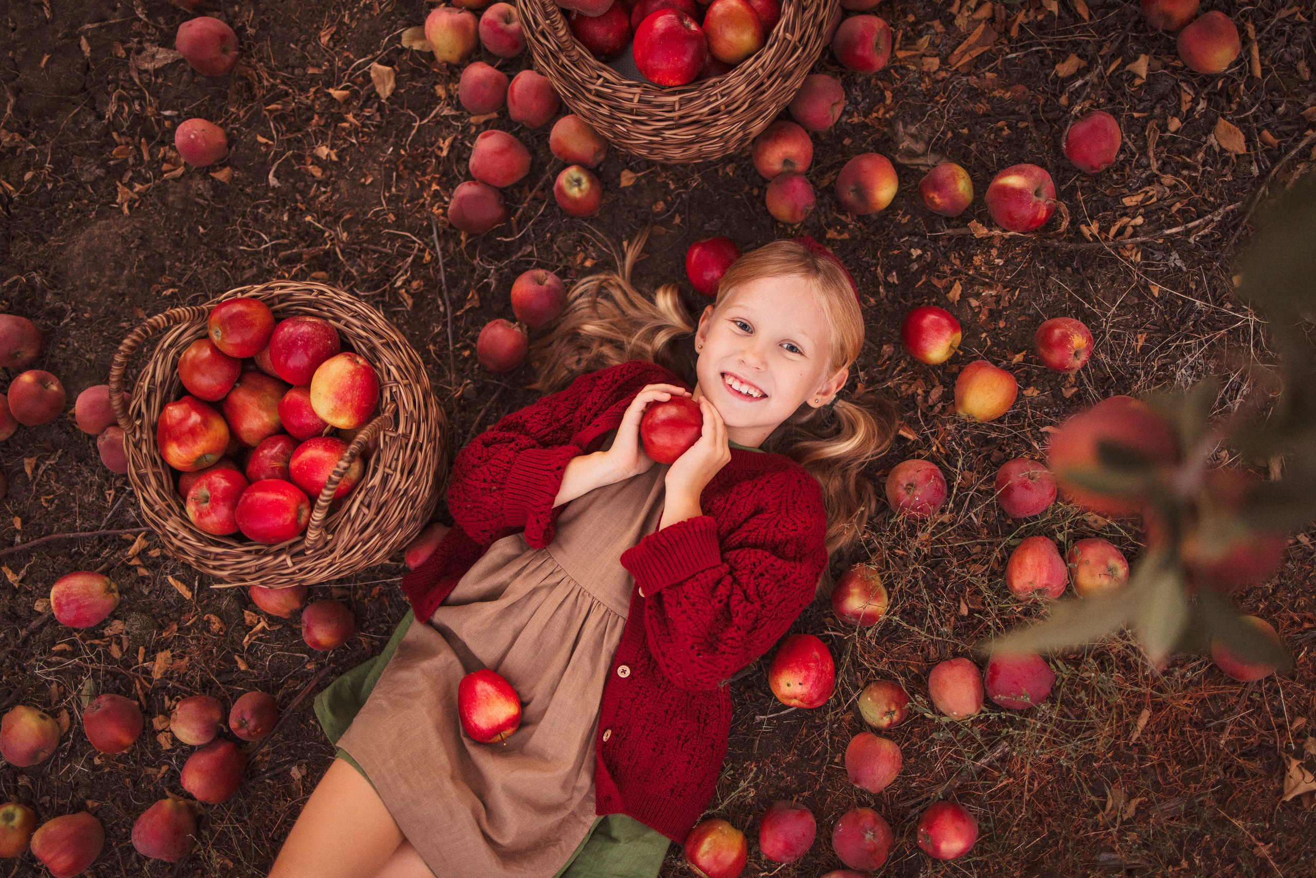 Сбор урожая Яблок. Семейный и детский фотограф в Краснодаре Анна Трашкова