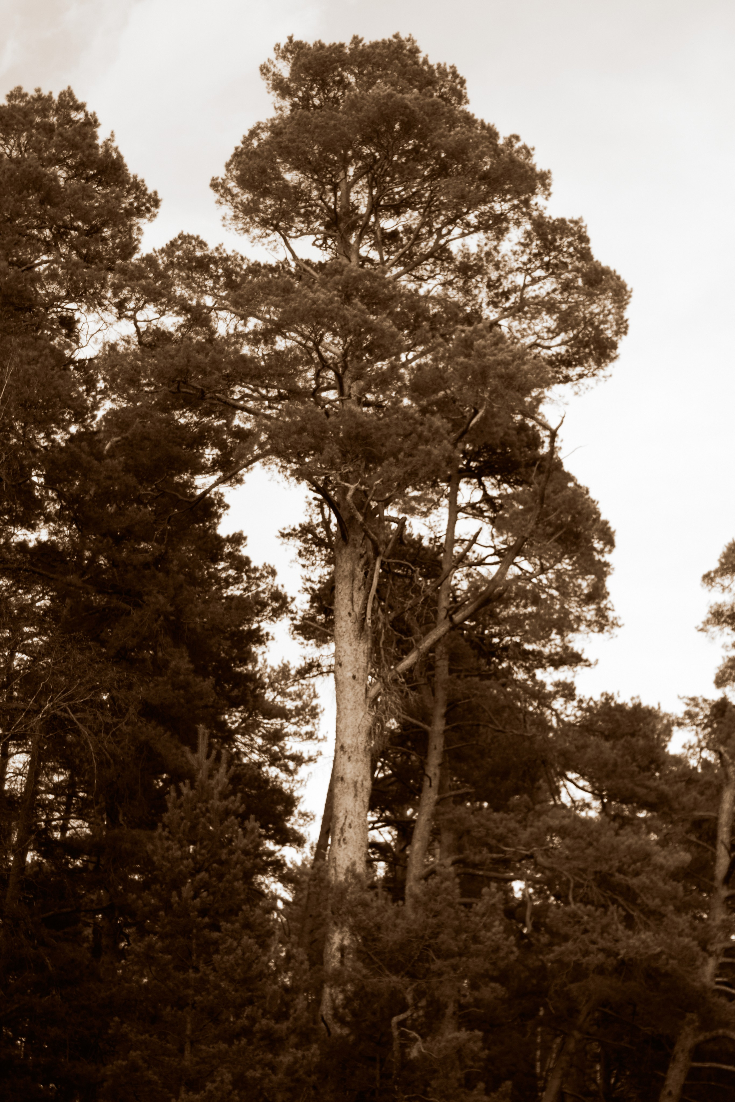  Фотограф: Ожерельев Лев