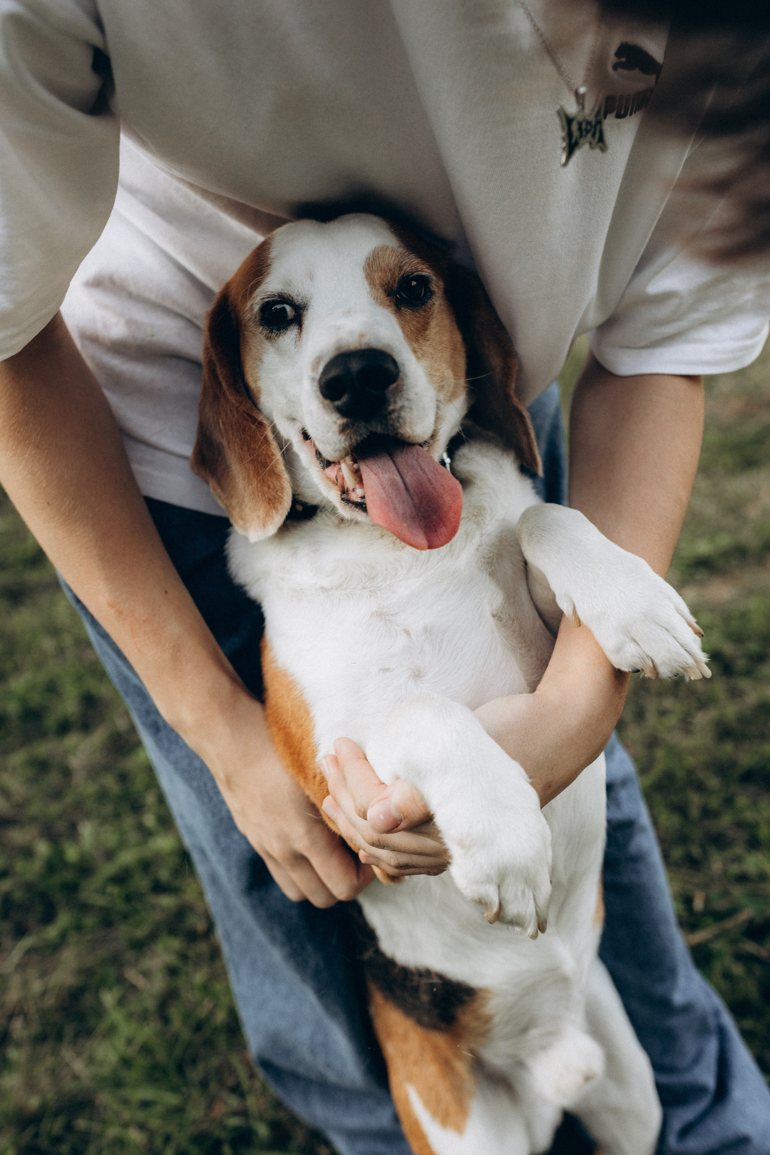 Наташа, Андрей, Эмиль, Стас, Ярослав и Арчи. Фотограф НОГИНСК, Москва, Анастасия Белая