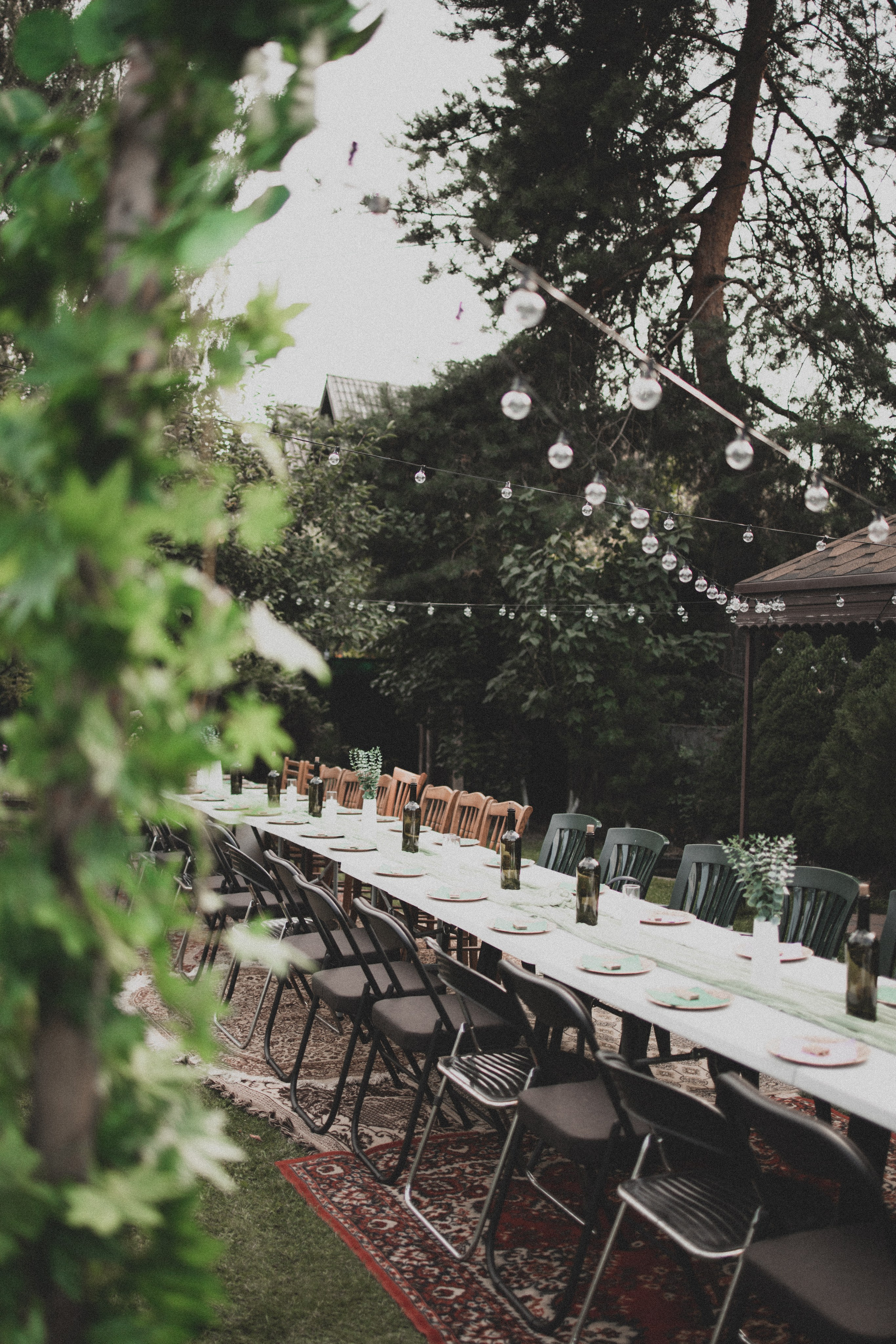 Lifestyle. Bayt Of Love