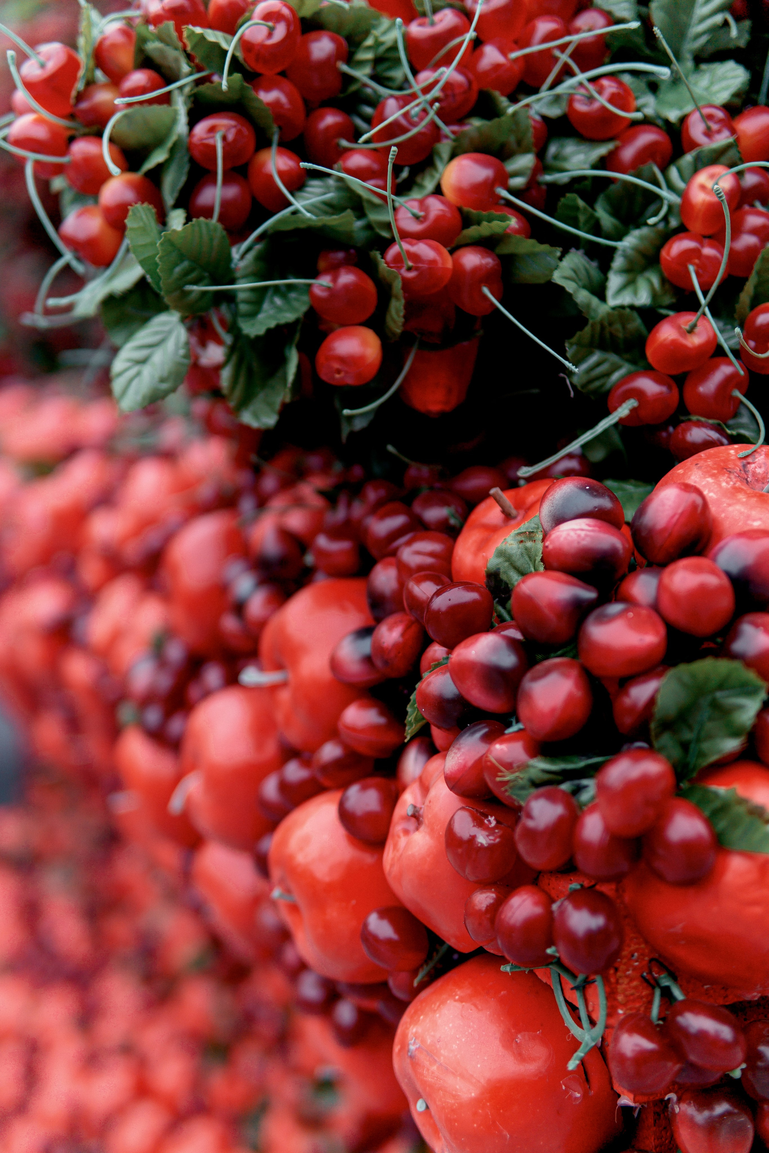 Китайский сад Хуамин. Алексей Никифоров свадебный и семейный фотограф Москва, Химки