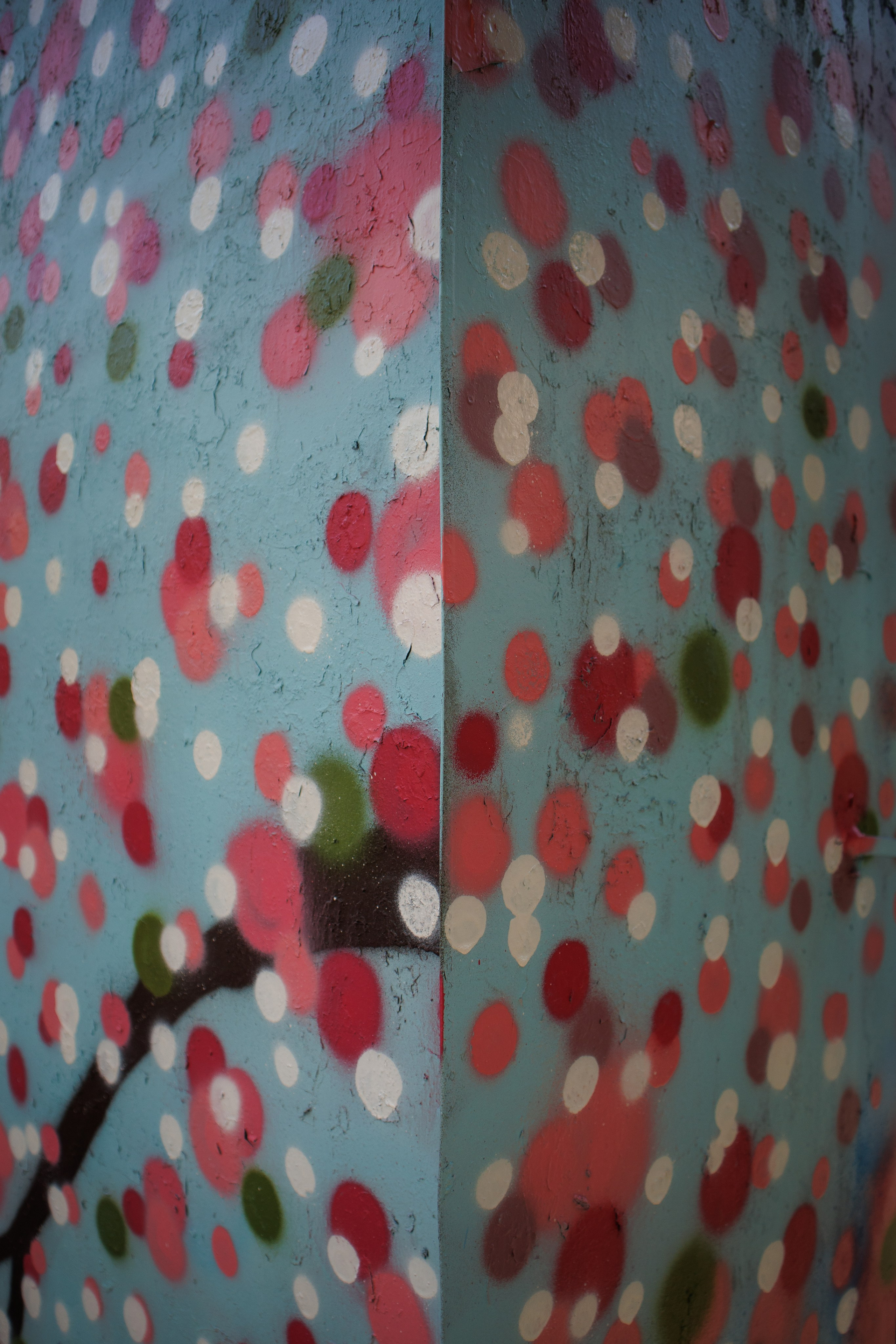 Фестиваль «Ничего Страшного» 26.09.2023, г. Ростов-на-Дону. Лера Круглова