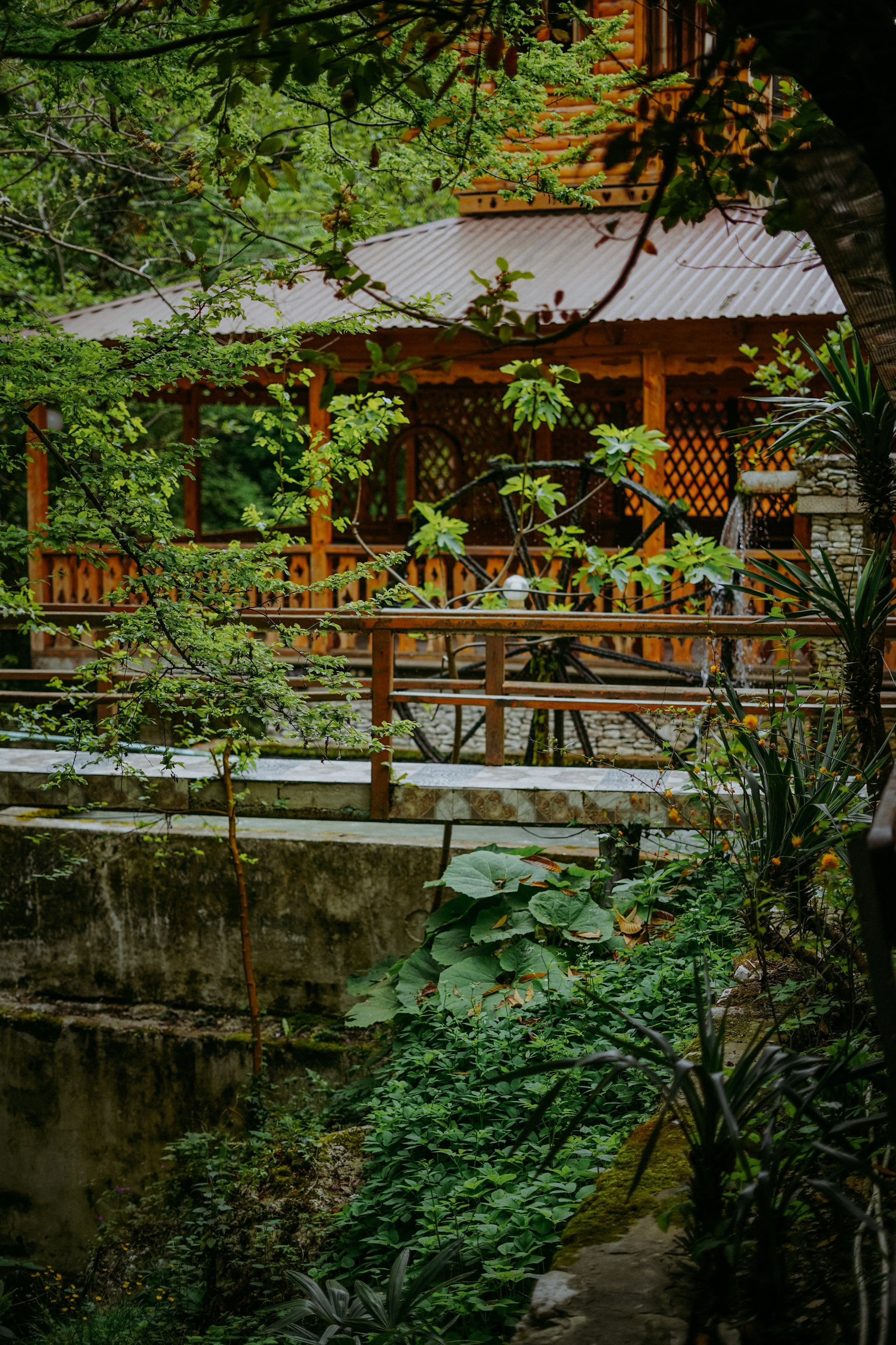 Сухум и окрестности