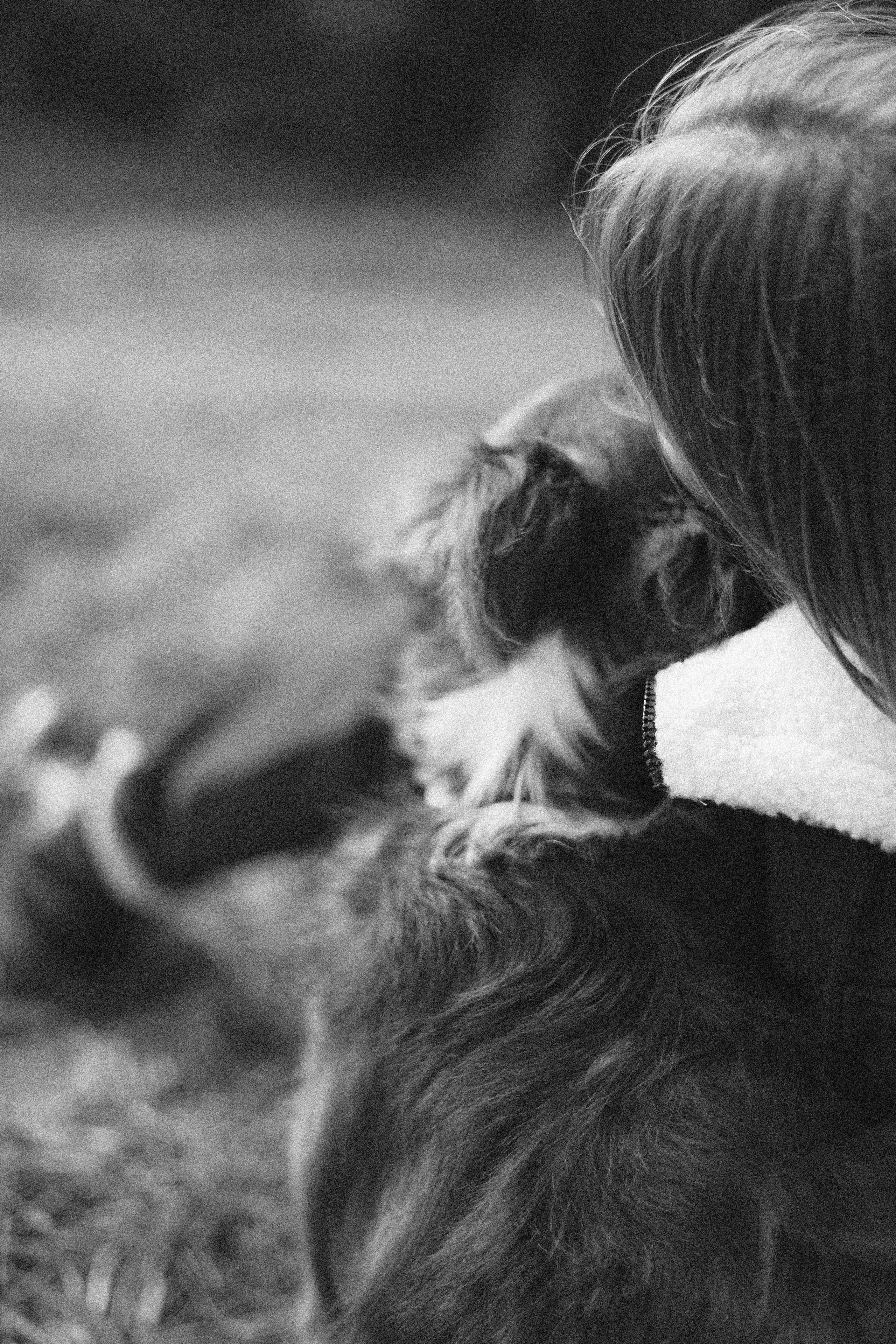 Даша и Дже. Фотограф-анималист Богданова Полина