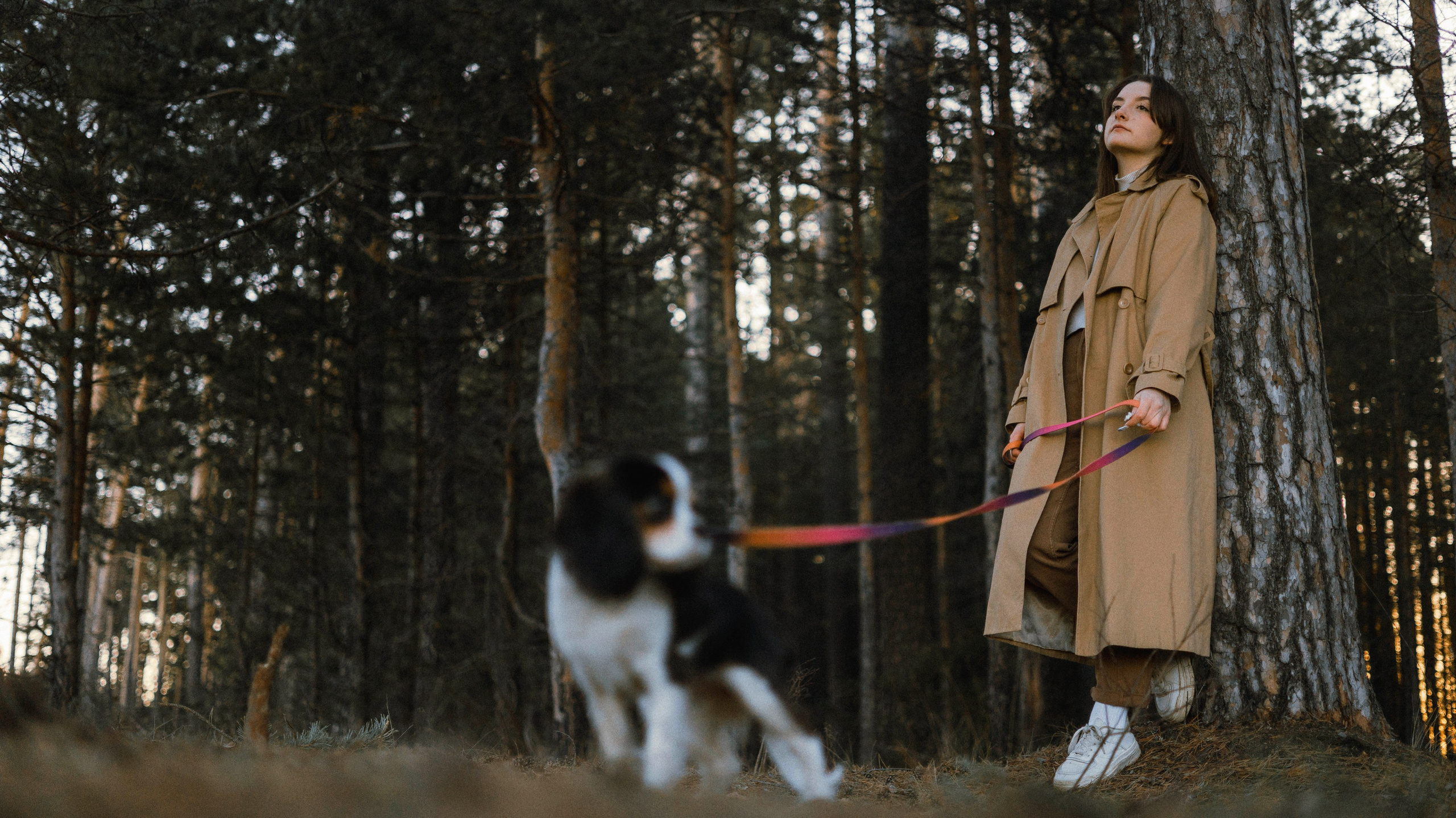 Ангелина и Йен. Фотограф-анималист Богданова Полина