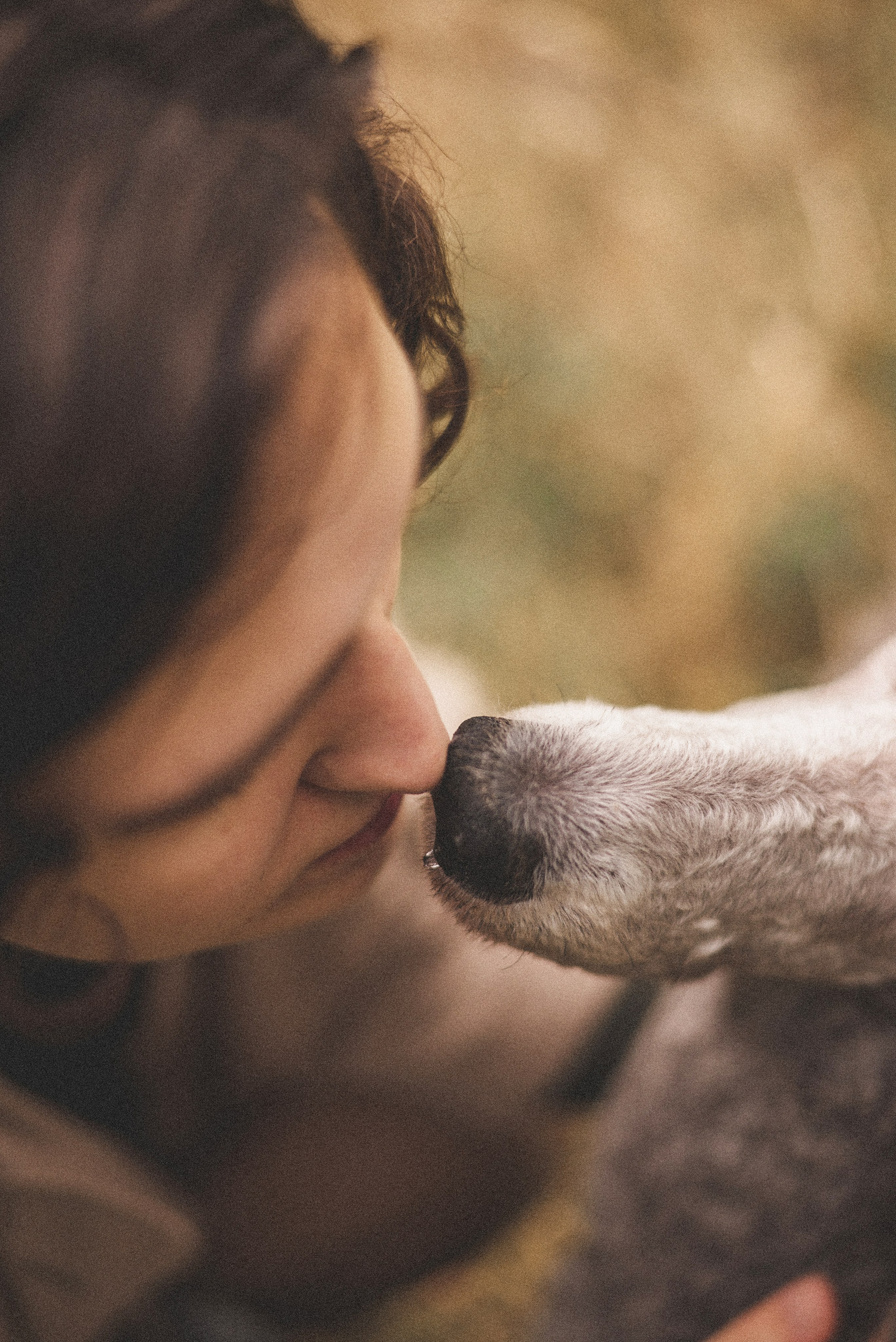 Алёна и Смоки. Фотограф-анималист Богданова Полина