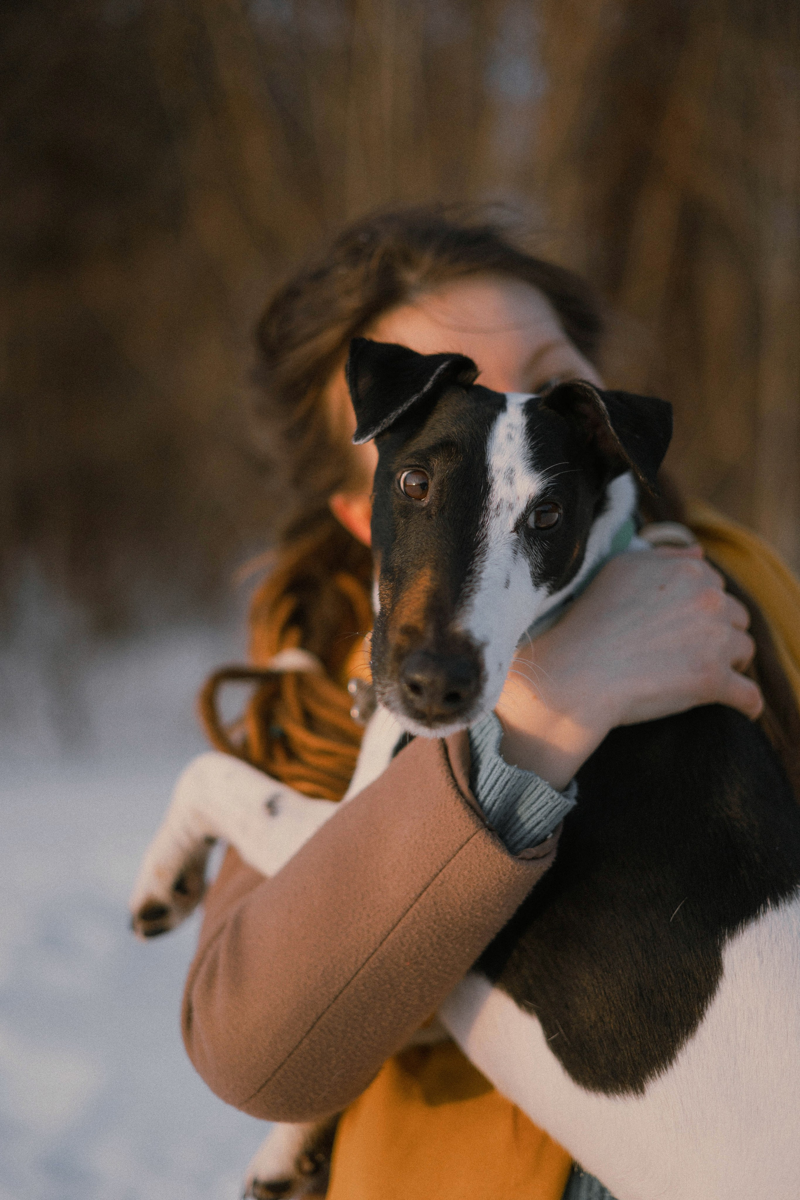 Ольга и Сэм. Фотограф-анималист Богданова Полина