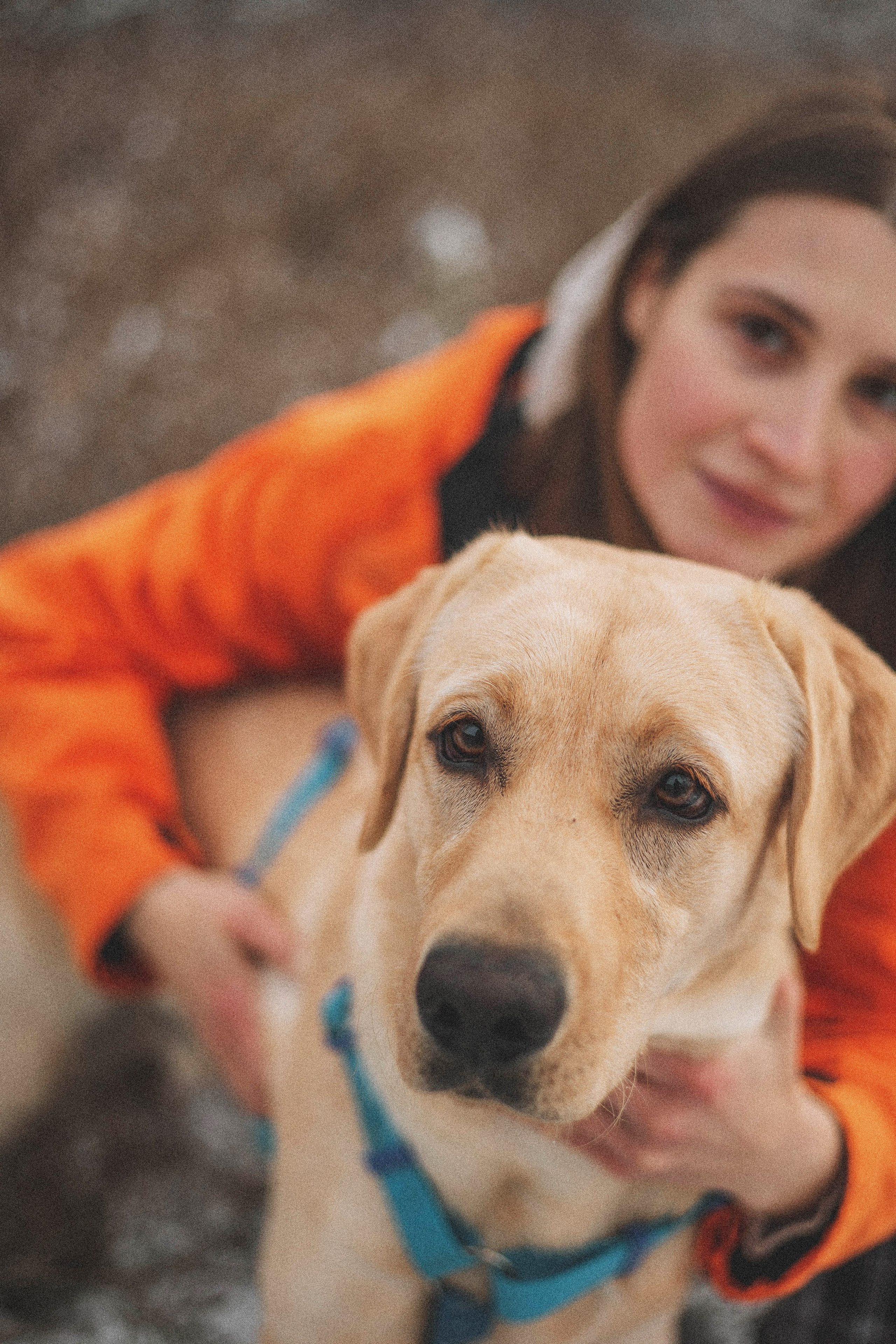 Маргарита и Варди. Фотограф-анималист Богданова Полина