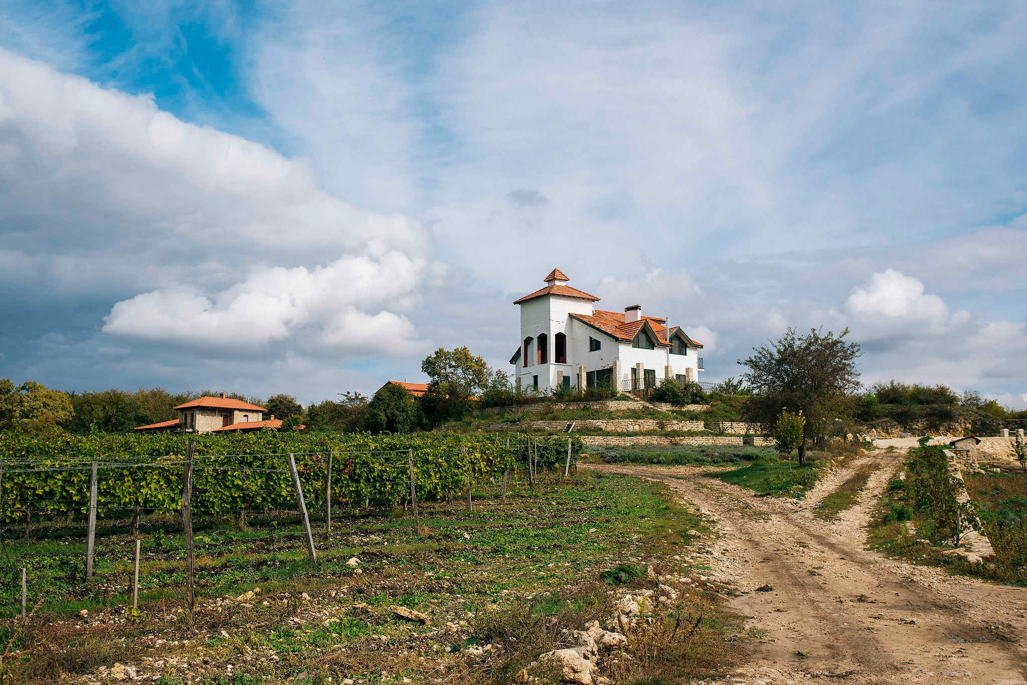 Винодельни Краснодарского края. Фотограф Михаил Мордасов, Сочи. Мероприятия, портреты, спорт, репортаж