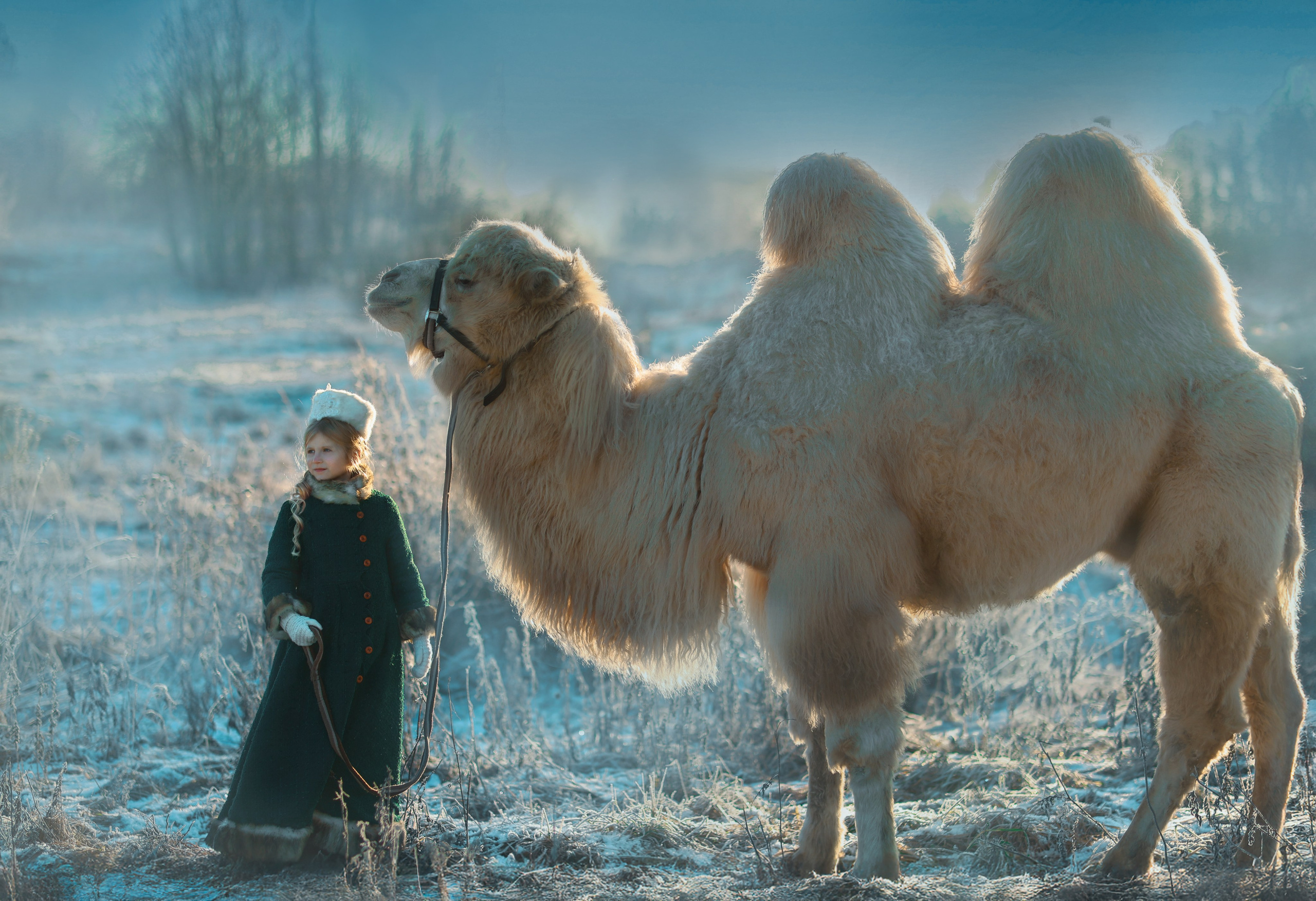 Портфолио. Фотохудожник в Санкт-Петербурге Ольга Клипина