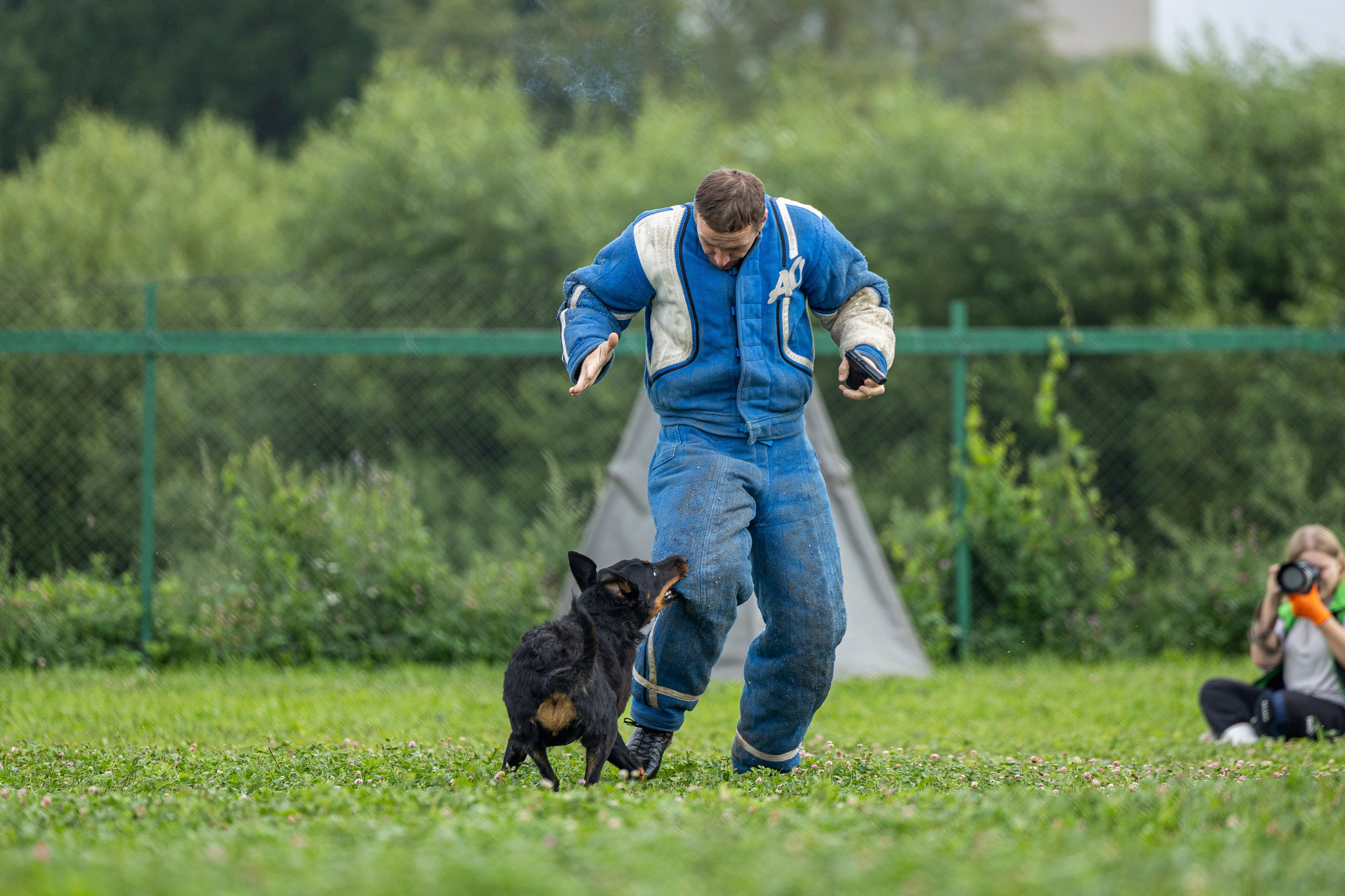 Соревнования по Мондьорингу г. Вологда 10-11.08.2024. Фотограф-анималист Анна Маринич