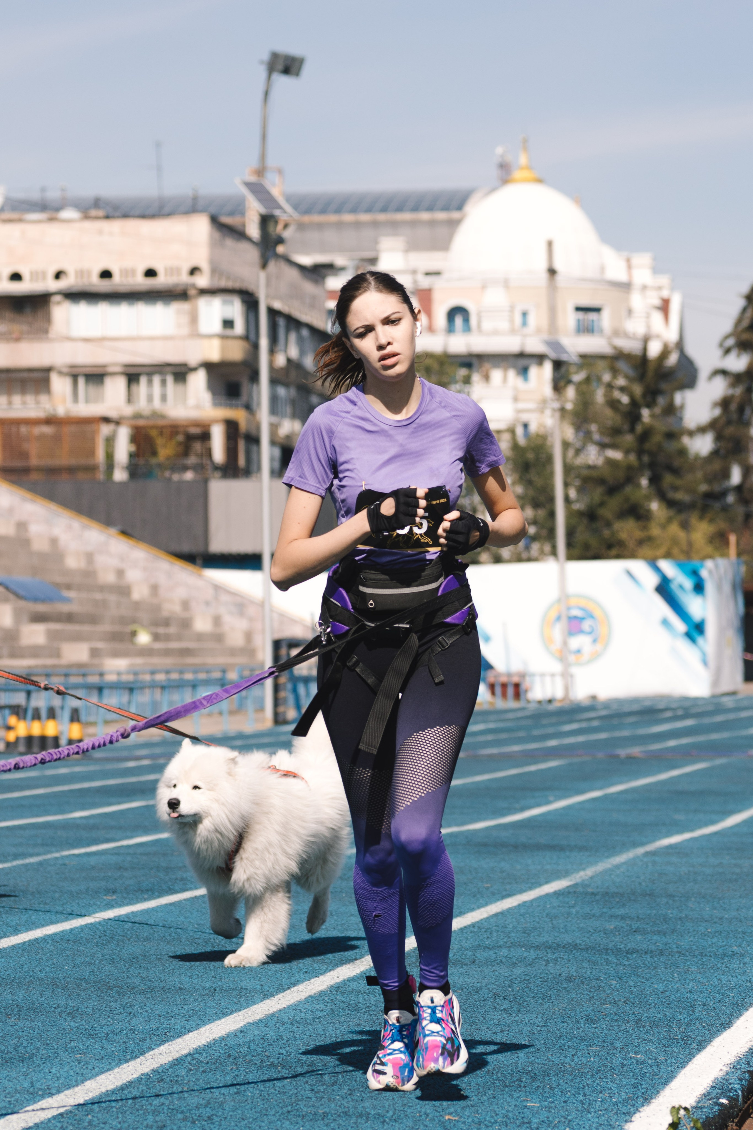 Proplan Dog Run. Коммерческий фотограф в Алматы Марина Милис. Съёмка для брендов, компаний и проектов