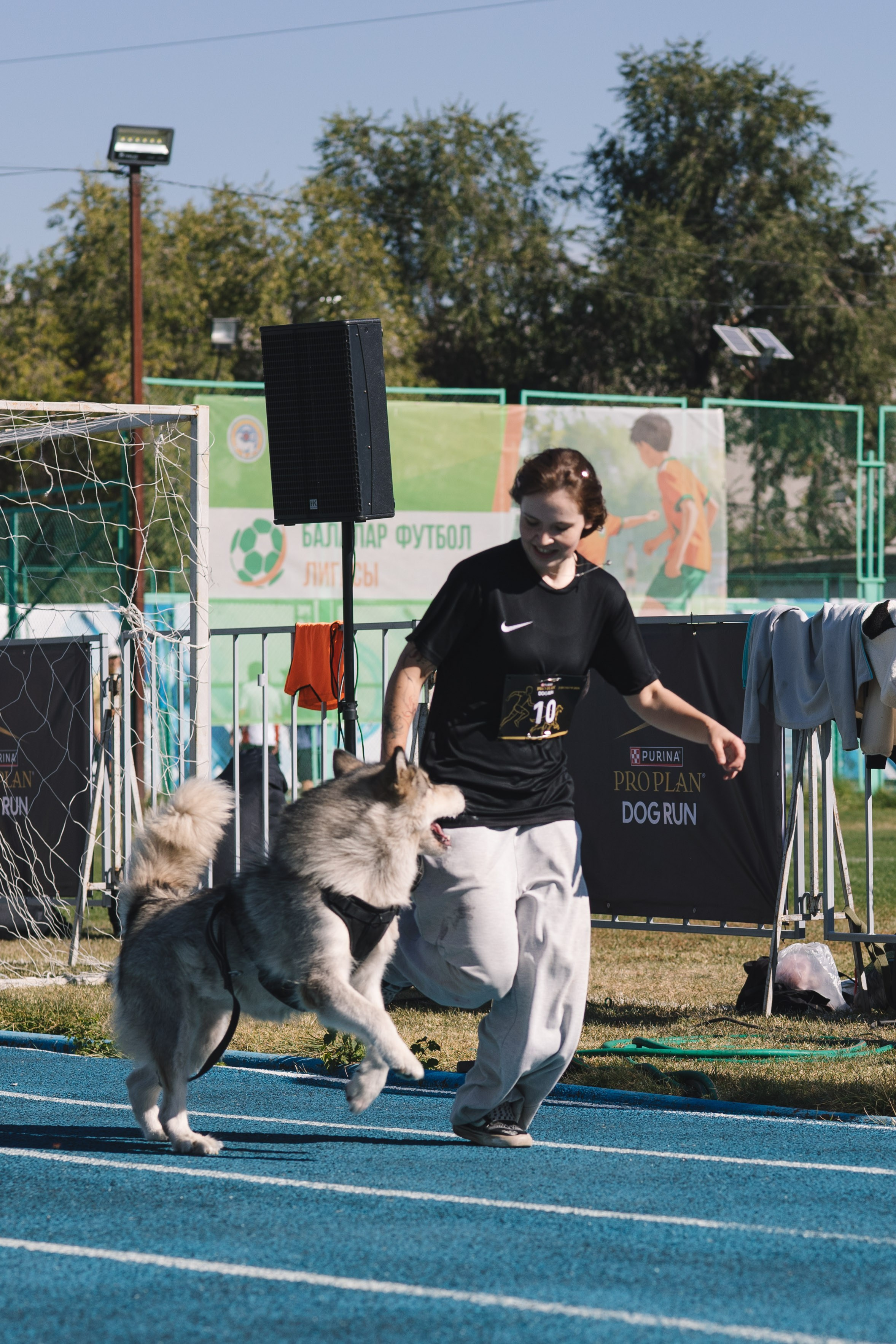 Proplan Dog Run. Коммерческий фотограф в Алматы Марина Милис. Съёмка для брендов, компаний и проектов