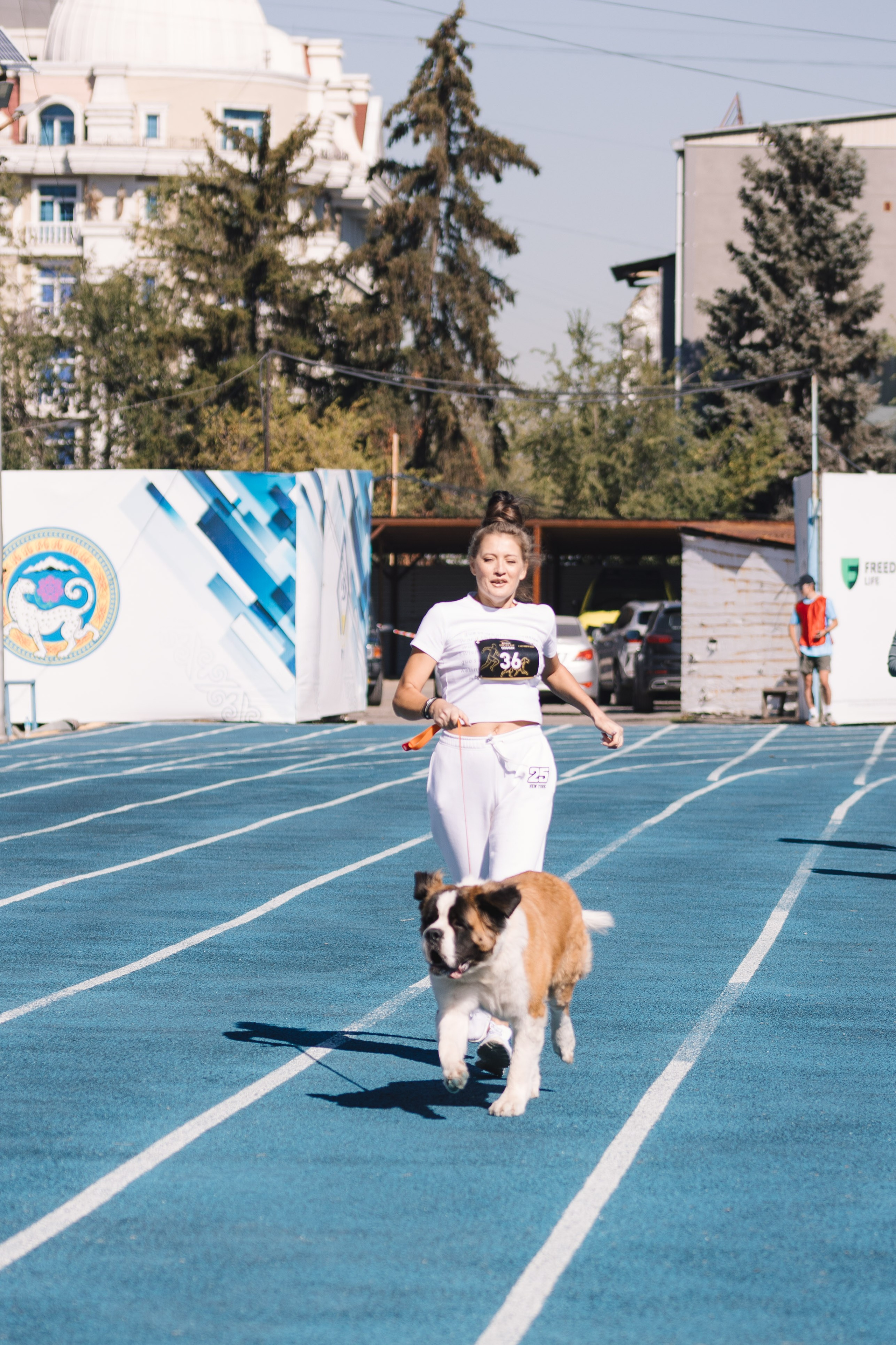 Proplan Dog Run. Коммерческий фотограф в Алматы Марина Милис. Съёмка для брендов, компаний и проектов