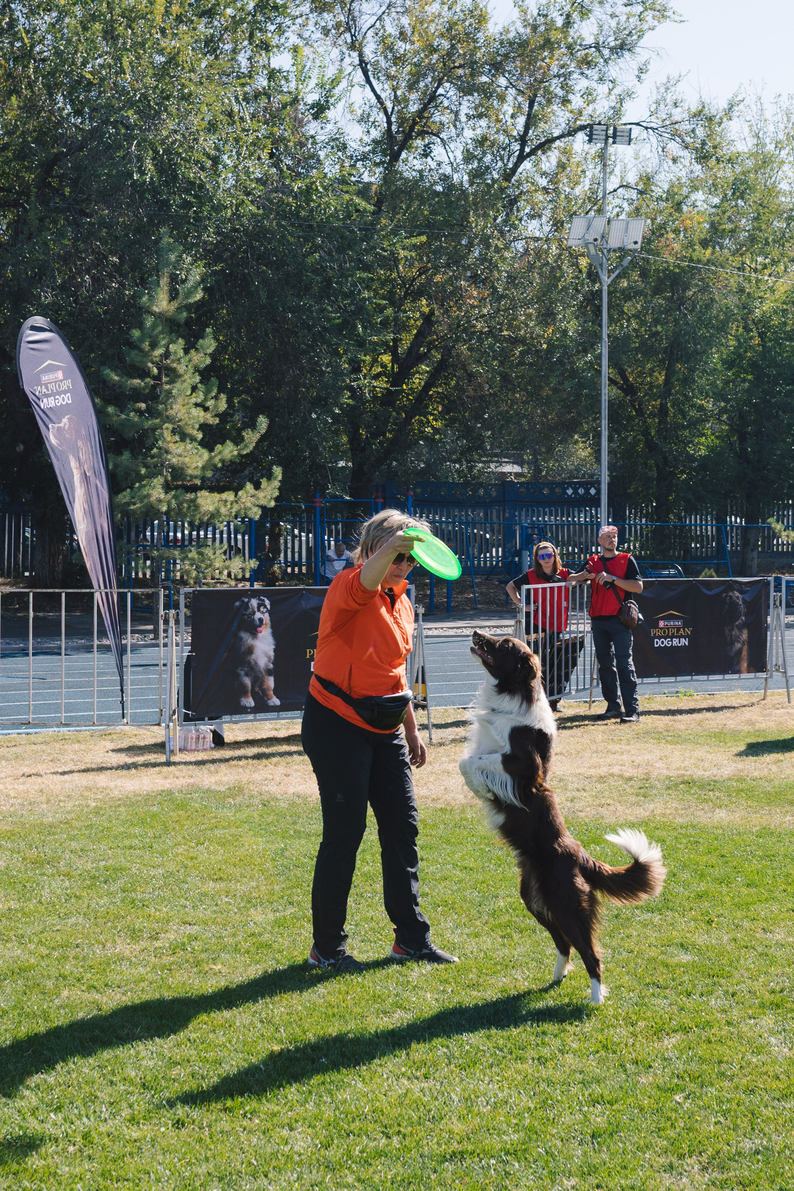 Proplan Dog Run. Коммерческий фотограф в Алматы Марина Милис. Съёмка для брендов, компаний и проектов