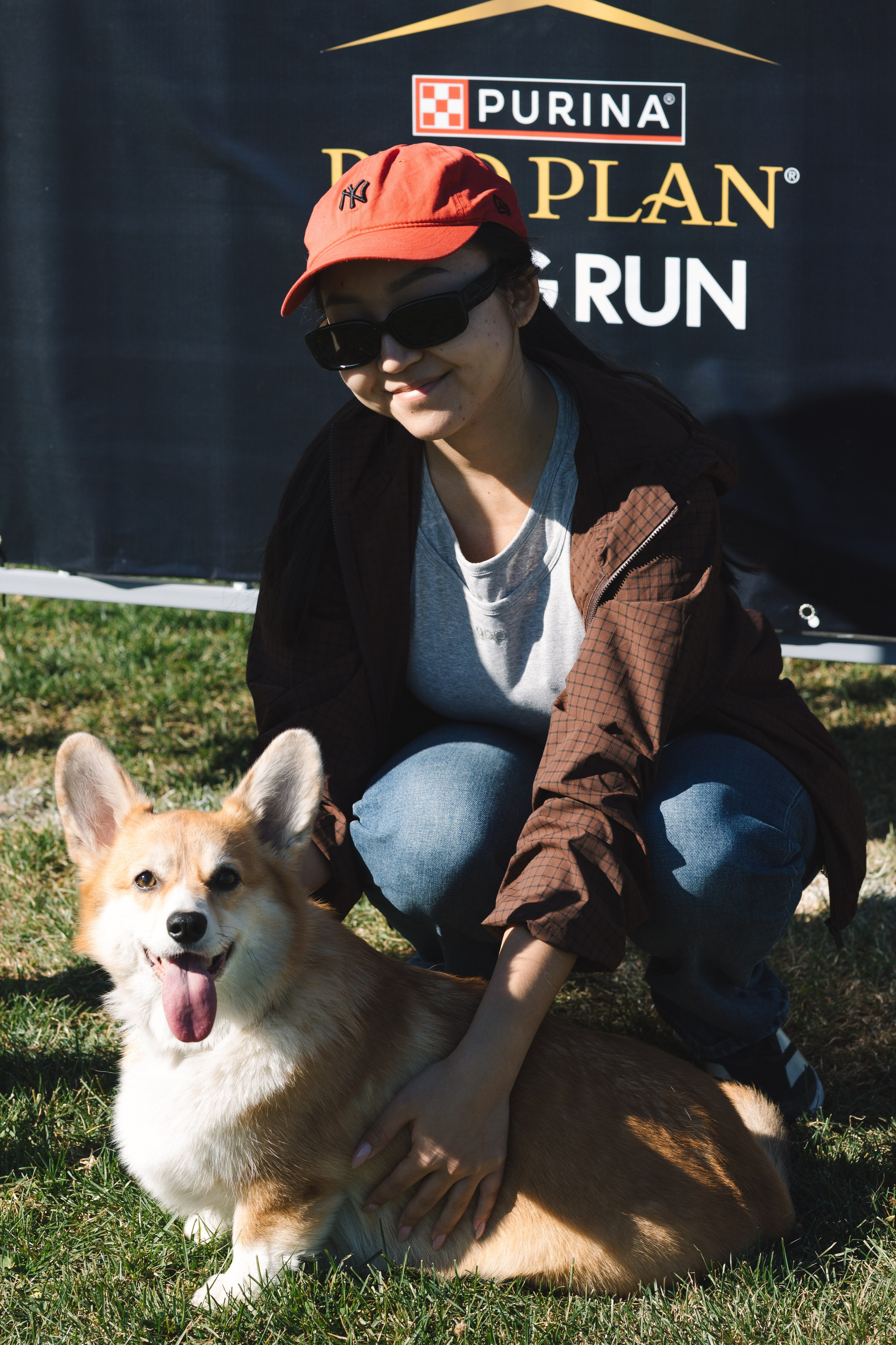 Proplan Dog Run. Коммерческий фотограф в Алматы Марина Милис. Съёмка для брендов, компаний и проектов