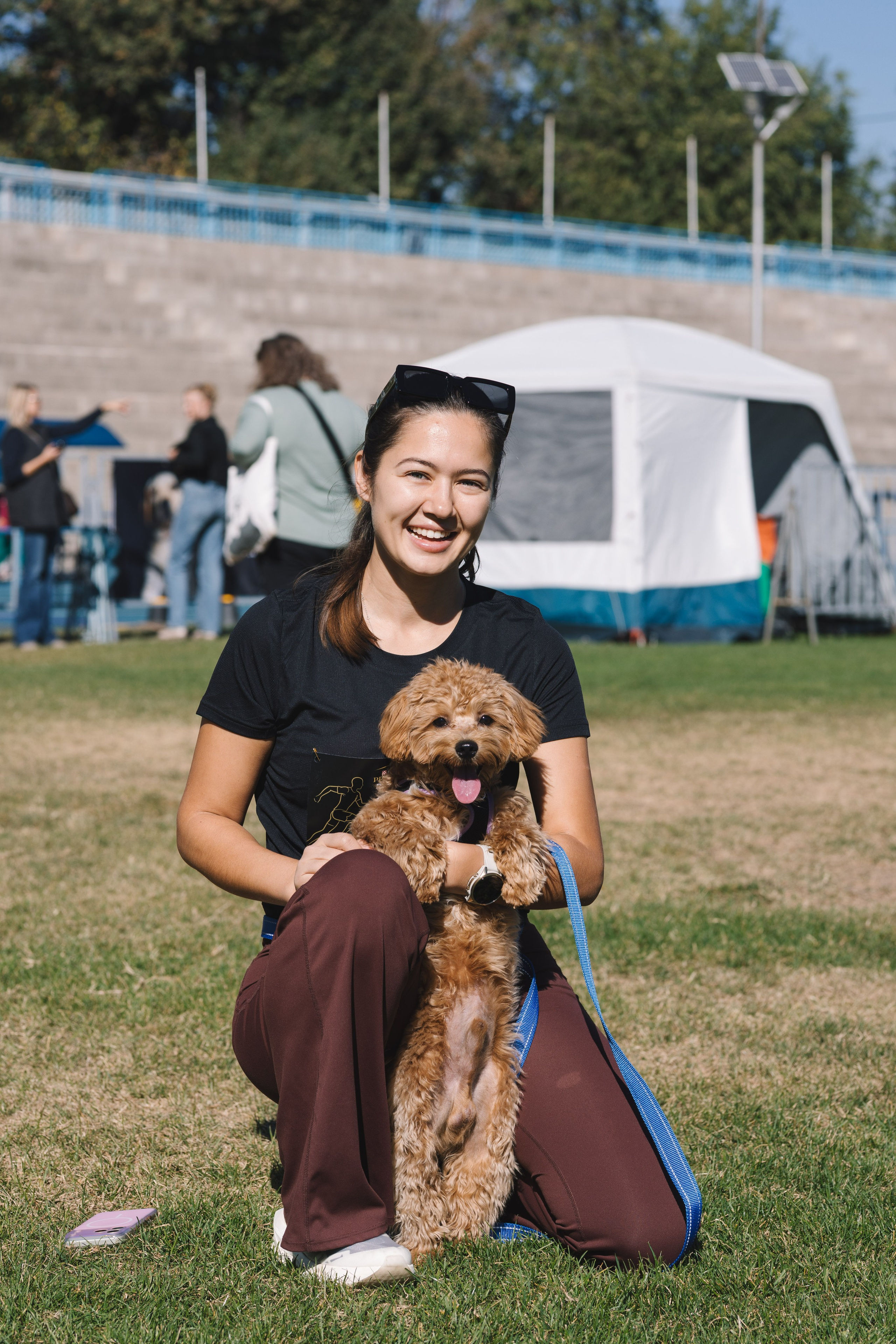 Proplan Dog Run. Коммерческий фотограф в Алматы Марина Милис. Съёмка для брендов, компаний и проектов