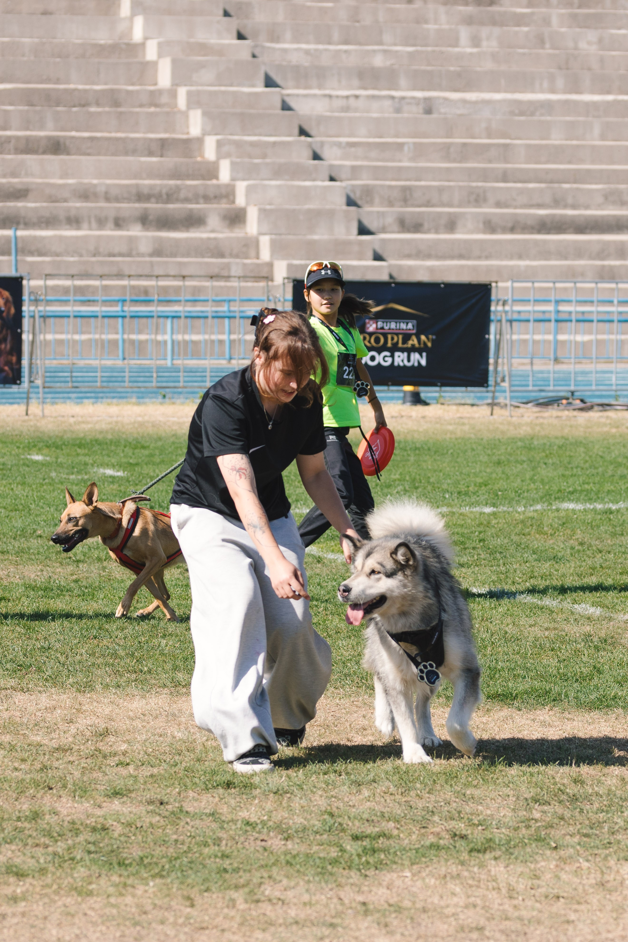 Proplan Dog Run. Коммерческий фотограф в Алматы Марина Милис. Съёмка для брендов, компаний и проектов