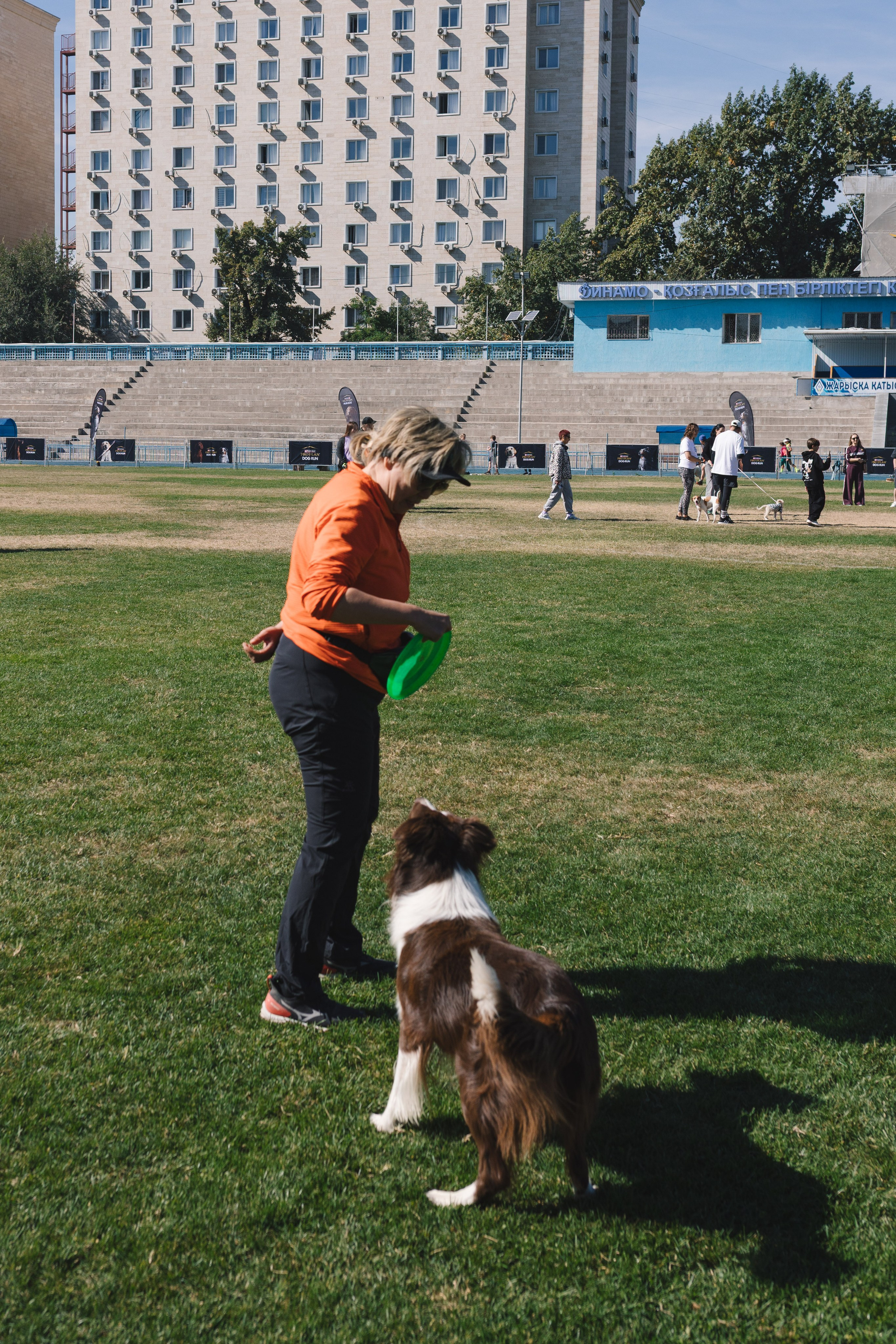 Proplan Dog Run. Коммерческий фотограф в Алматы Марина Милис. Съёмка для брендов, компаний и проектов